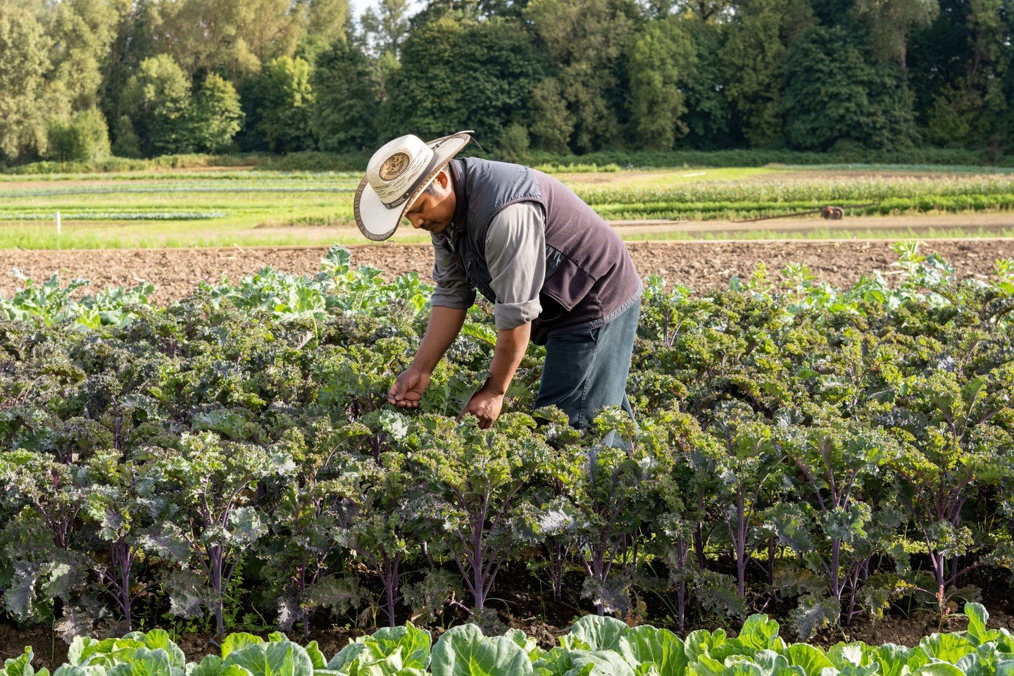 KEEP GROWING ORGANIC. 
 
This National Organic Harvest Month, we're celebrating the farmers who grow it, the retailers who champion it and the shoppers who choose it. 
 
U.S. organic produce sales reached $10.6 billion in 2025, growing nearly five ti