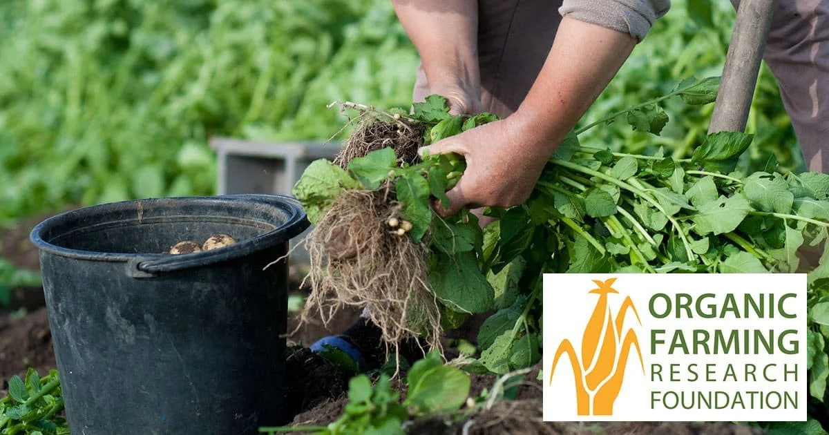 Meet OGC Mission Fund Recipient: Organic Farming Research Foundation