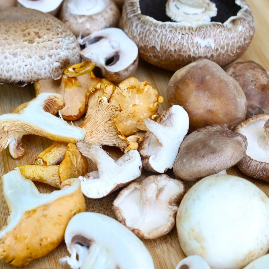 Marvelous Mushrooms