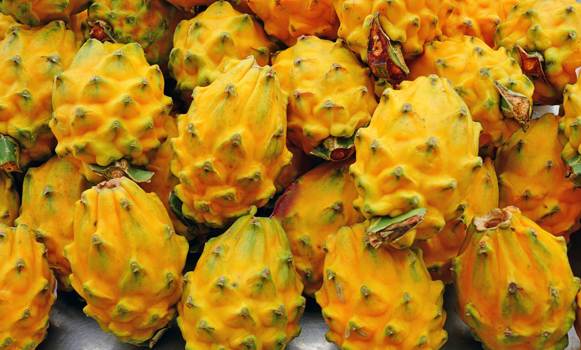 orange dragon fruit