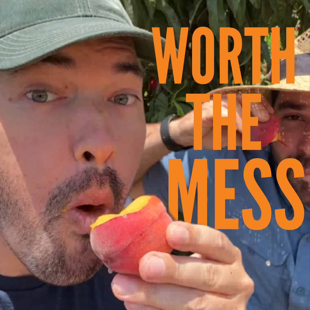 Stone Fruit