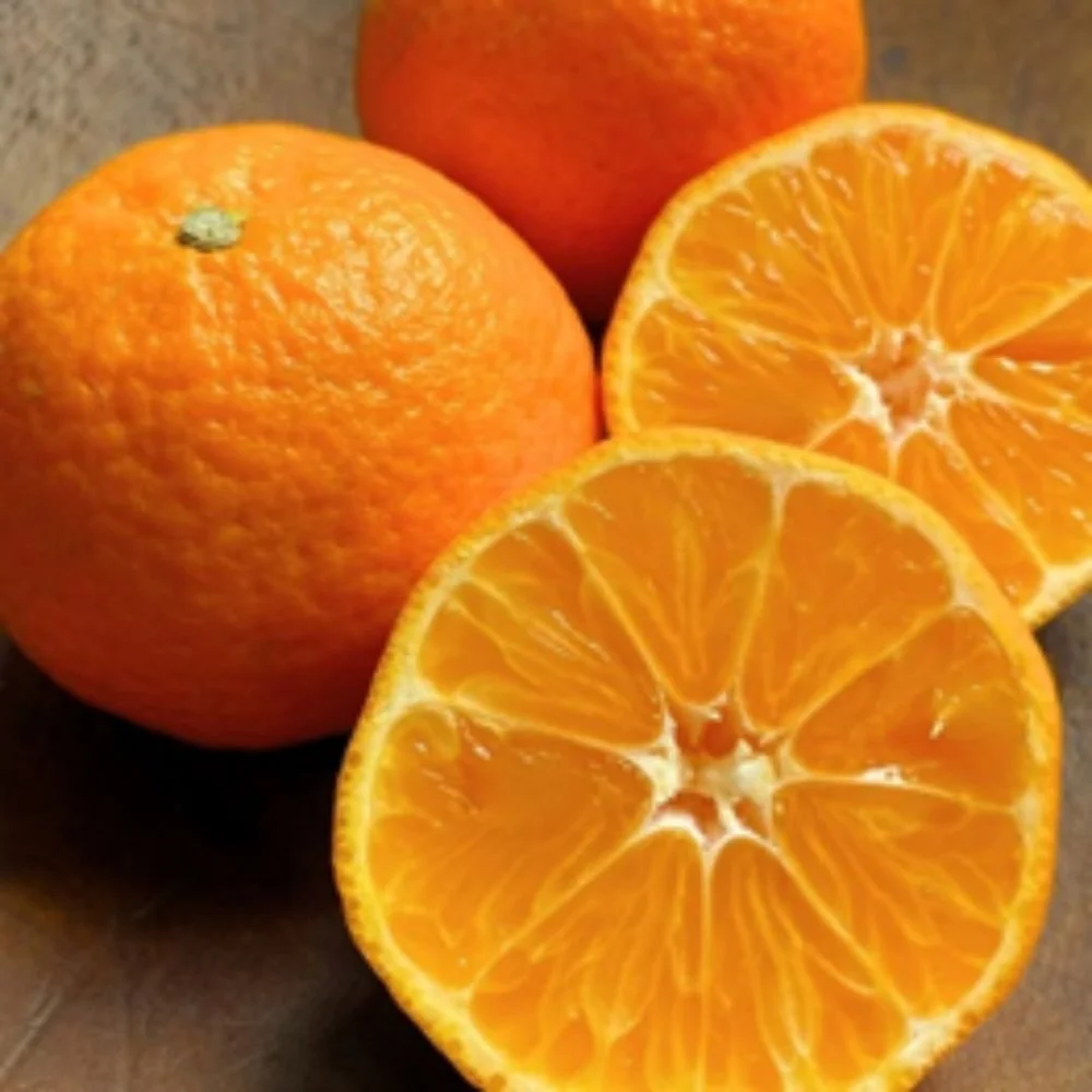 Our Produce — Organically Grown Company