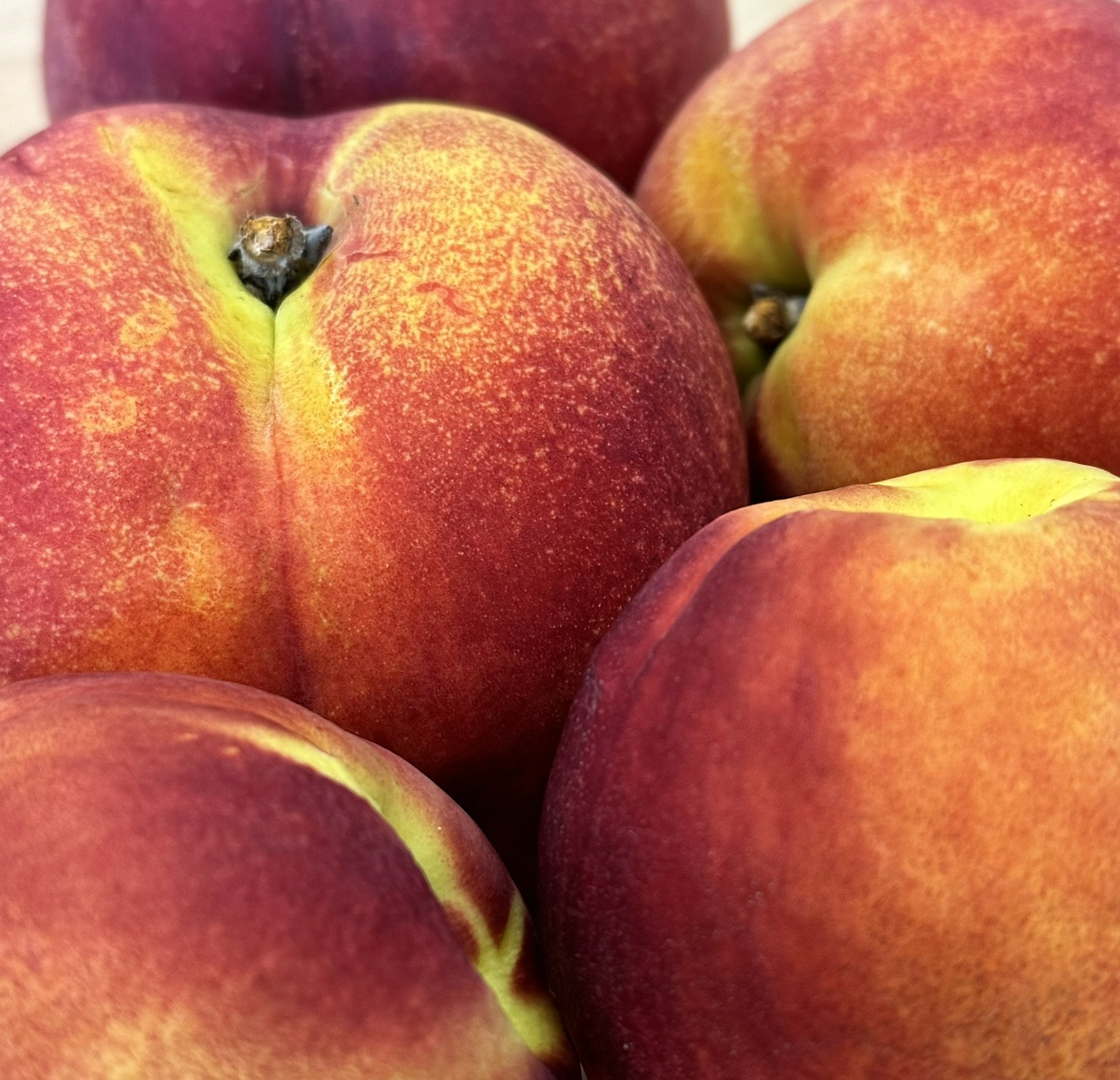 Yellow Nectarines