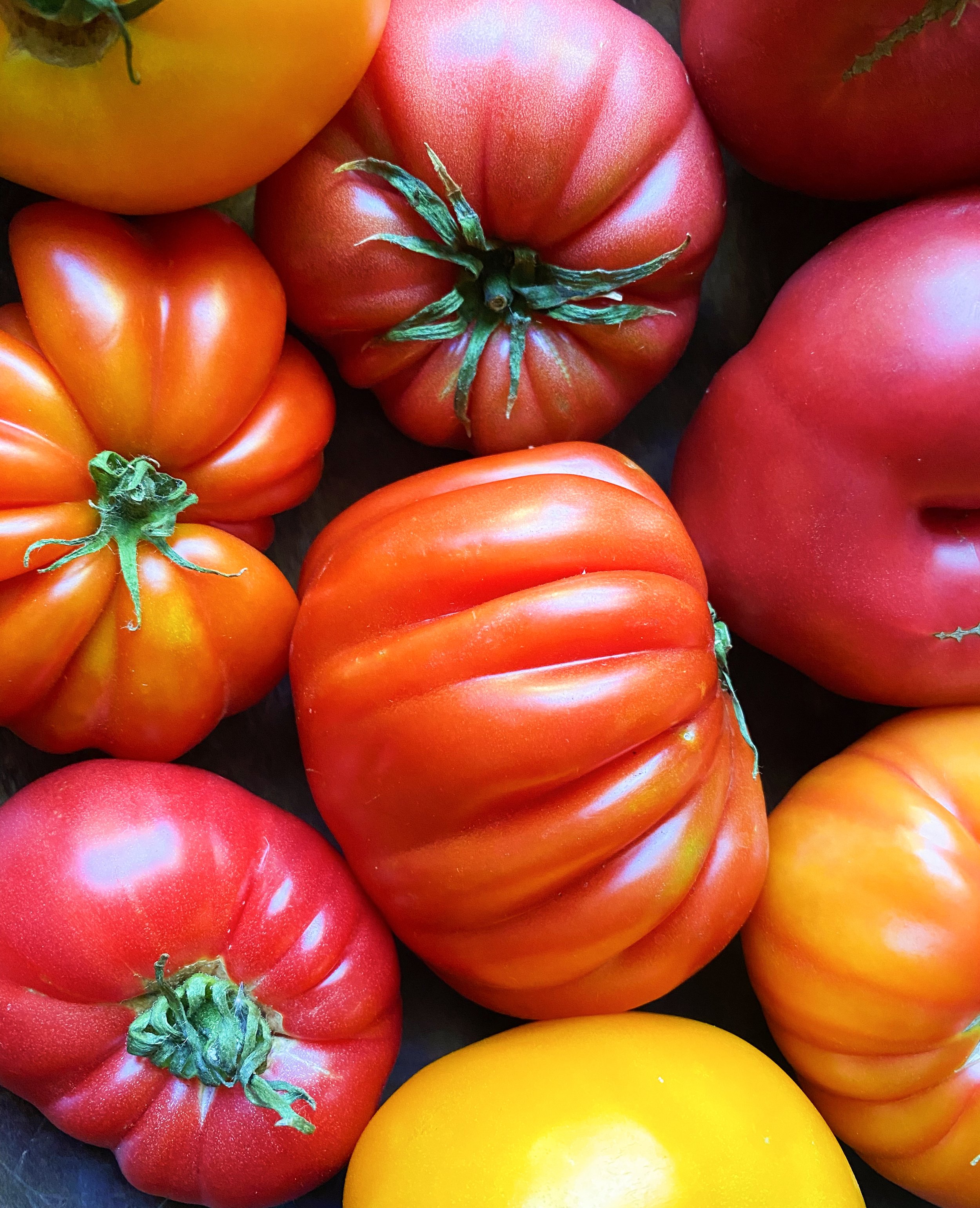 HeirloomTomatoes_Vertical3.jpg
