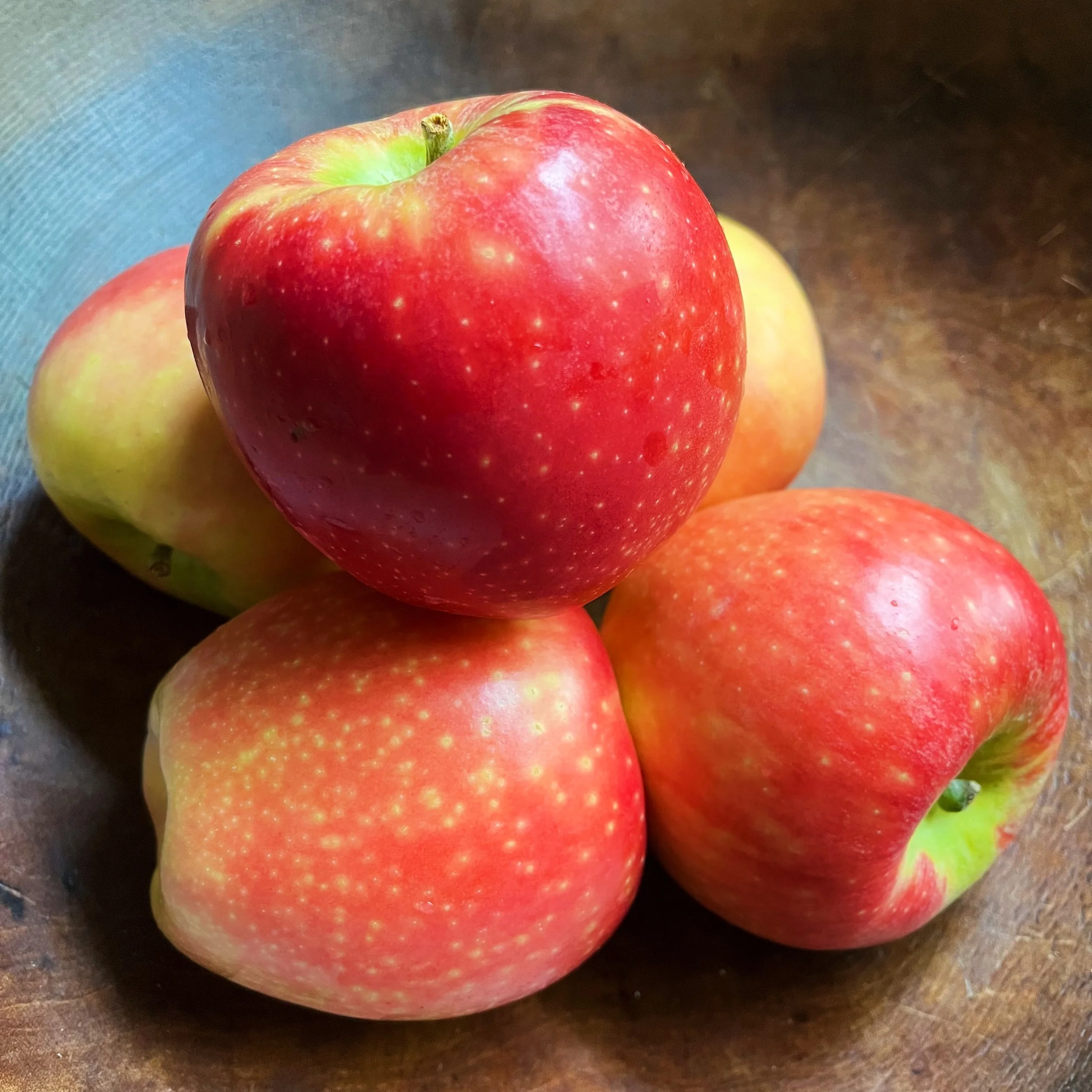 Build a Bountiful Apple Set with These StandOut Varieties — Organically Grown Company