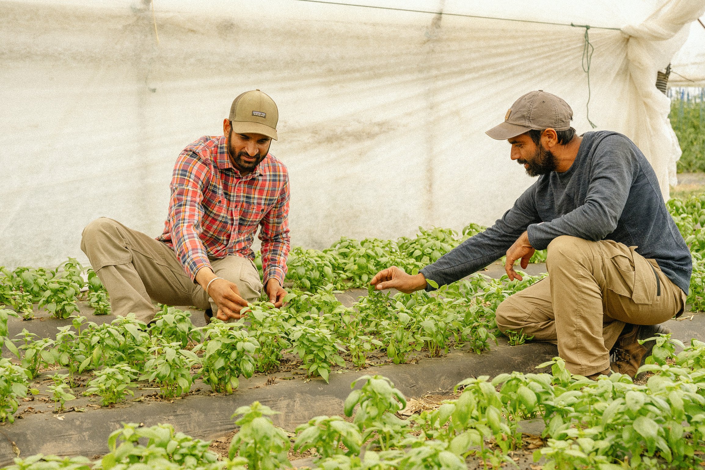 2021_Riverland_Family_Farms_0255.jpg