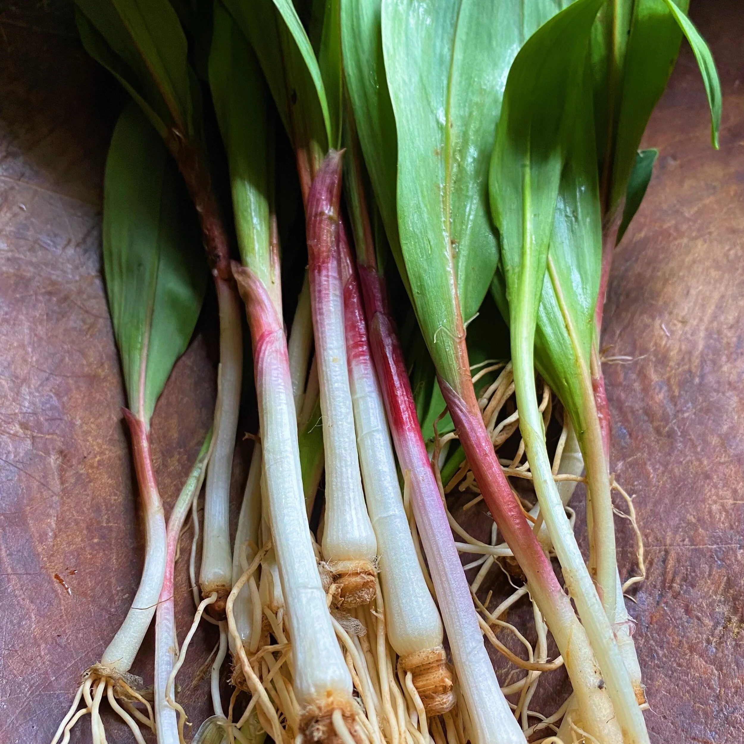 Spring Produce — Organically Grown Company