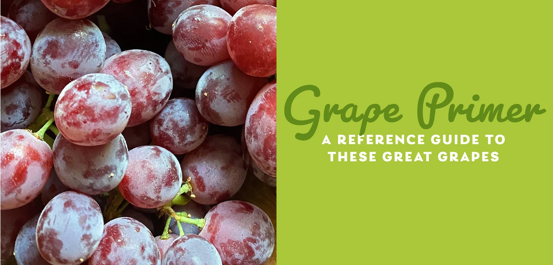 Get OGC’s Grape Primer — Organically Grown Company