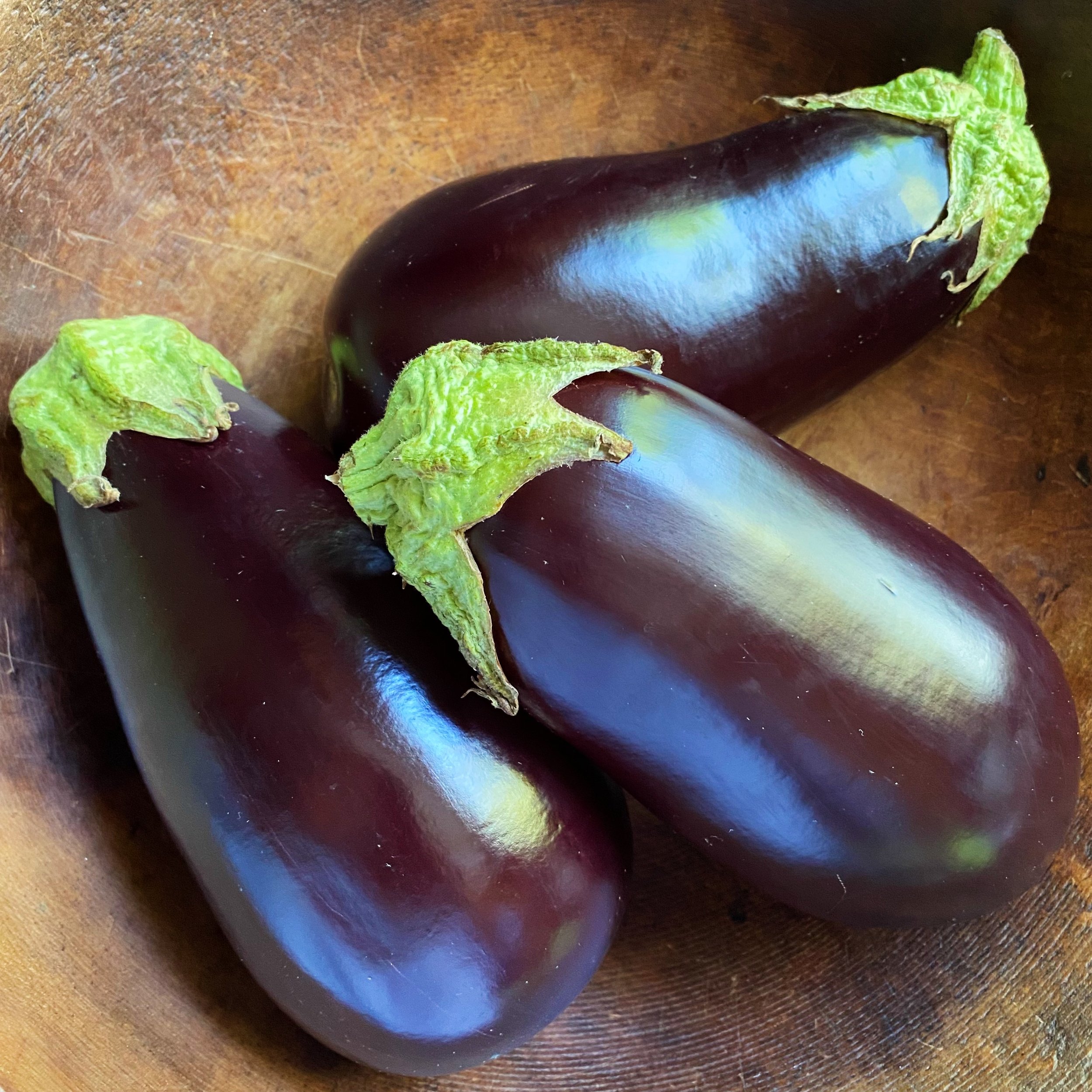 Eggplant