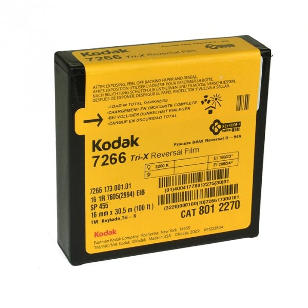 kodak trix 16mm bw.jpeg