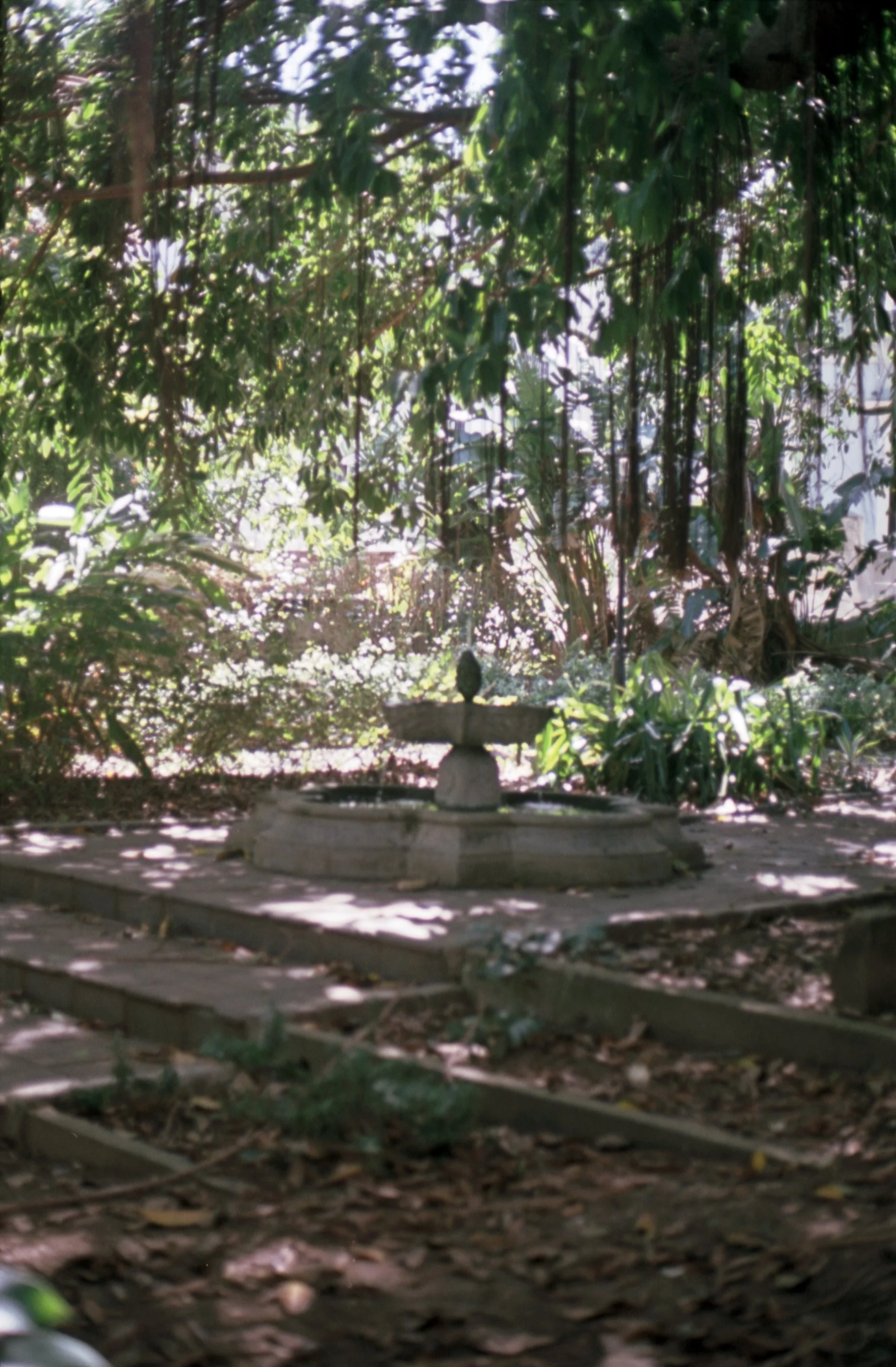 washi c41 (6) (2).JPG