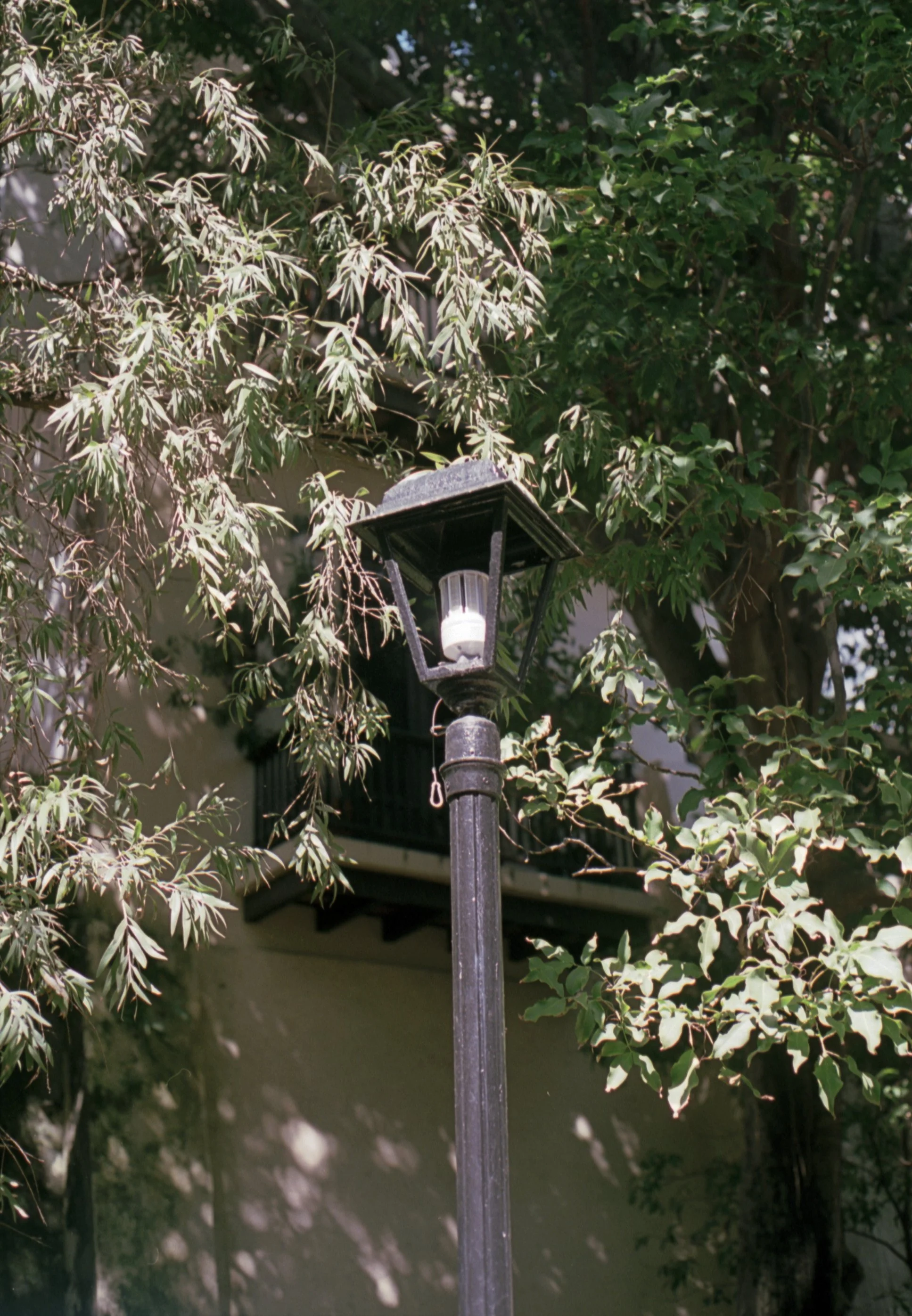 washi c41 (11) (2).JPG