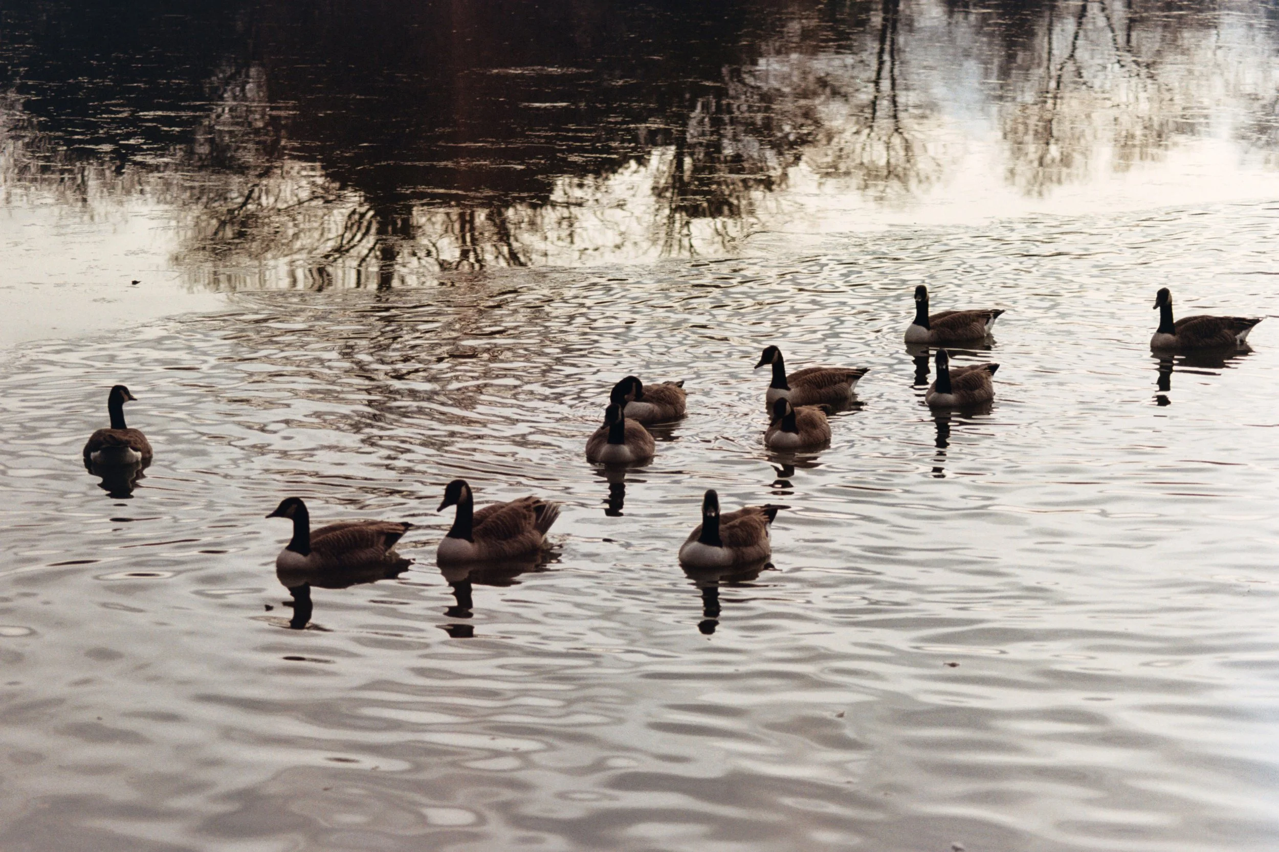 Camila Sola @camillealexandra_