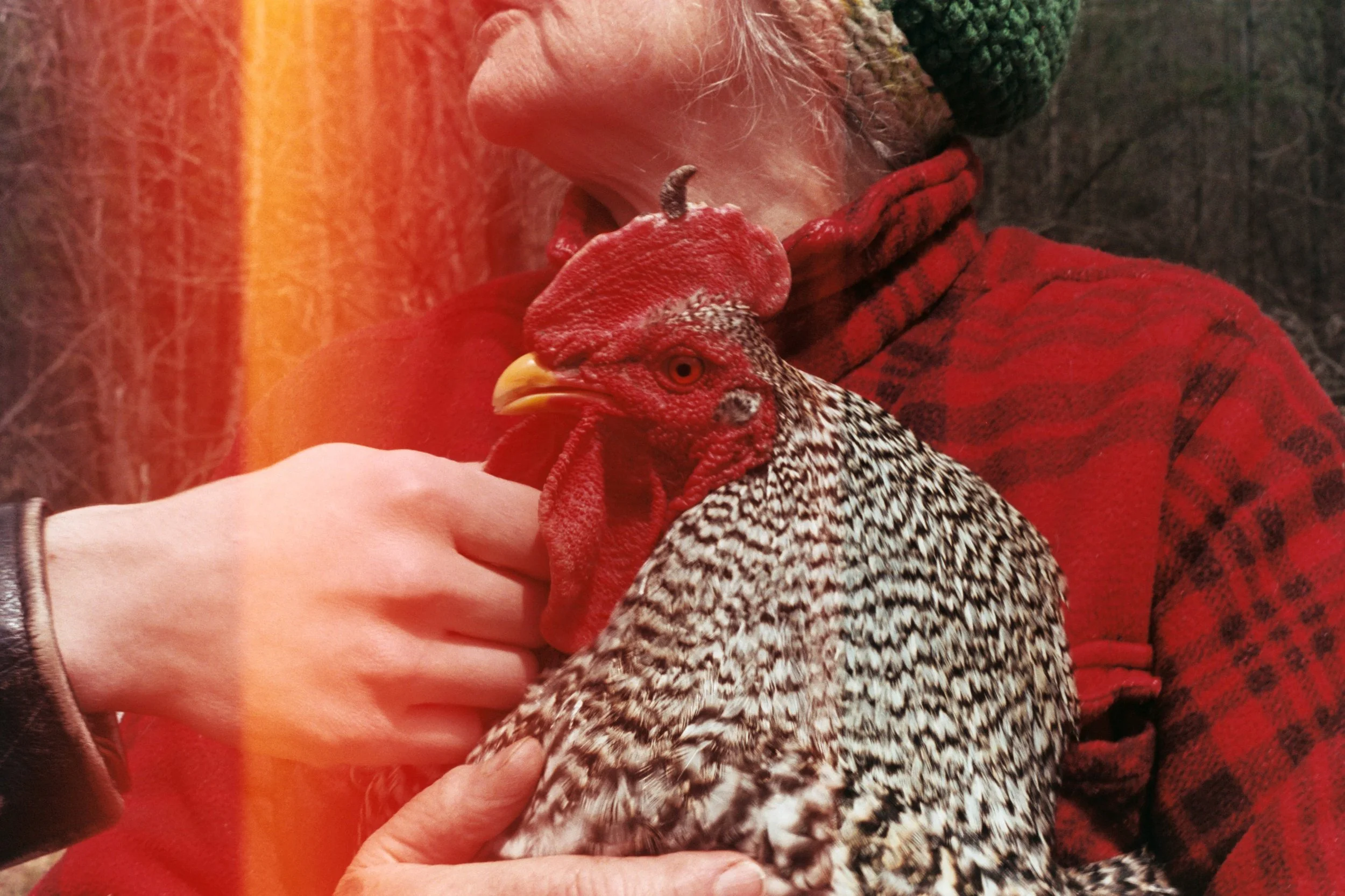 Samantha Feliciano @555princesa 