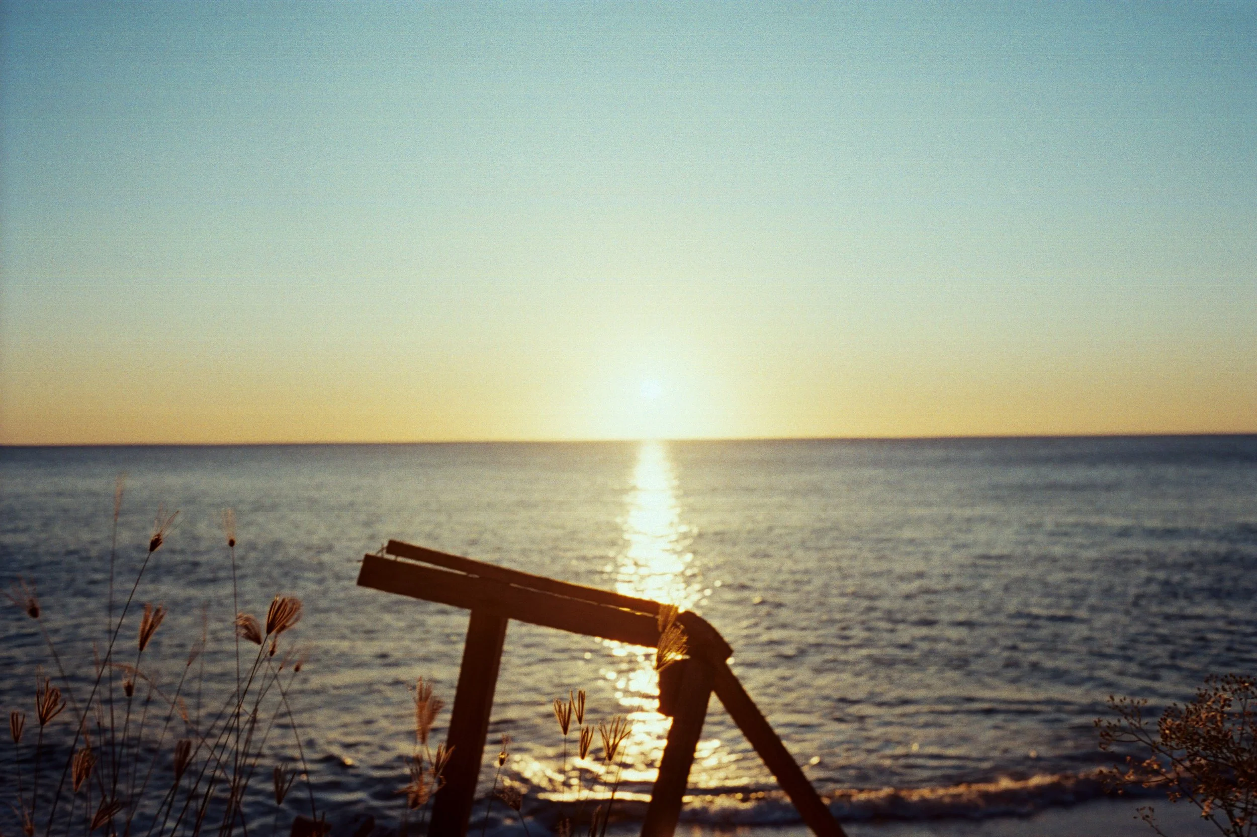 Nohely Sepulveda @nohely.sepulveda | @laguia.local 