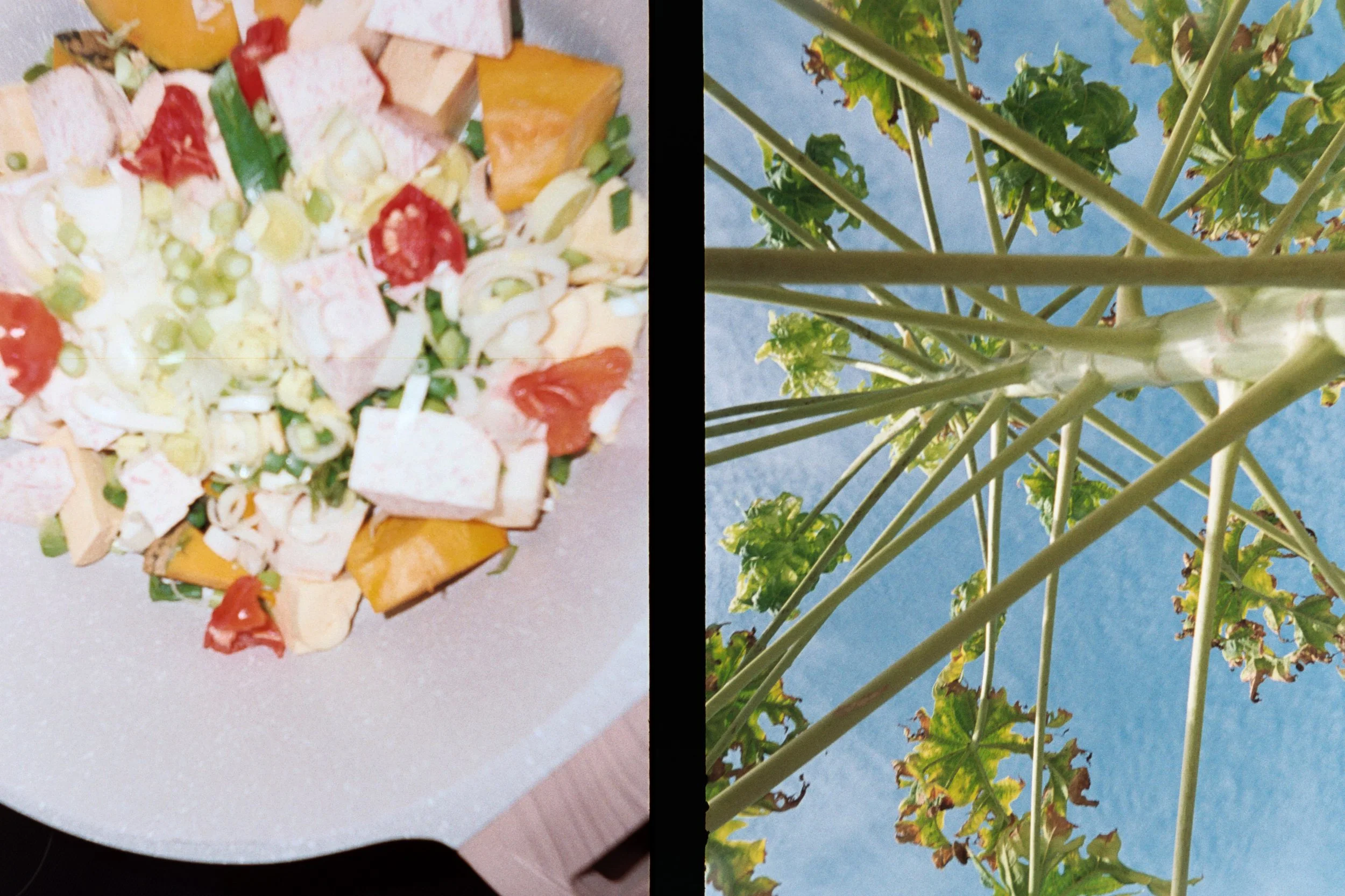 Stephano Cervantes @sir_coa