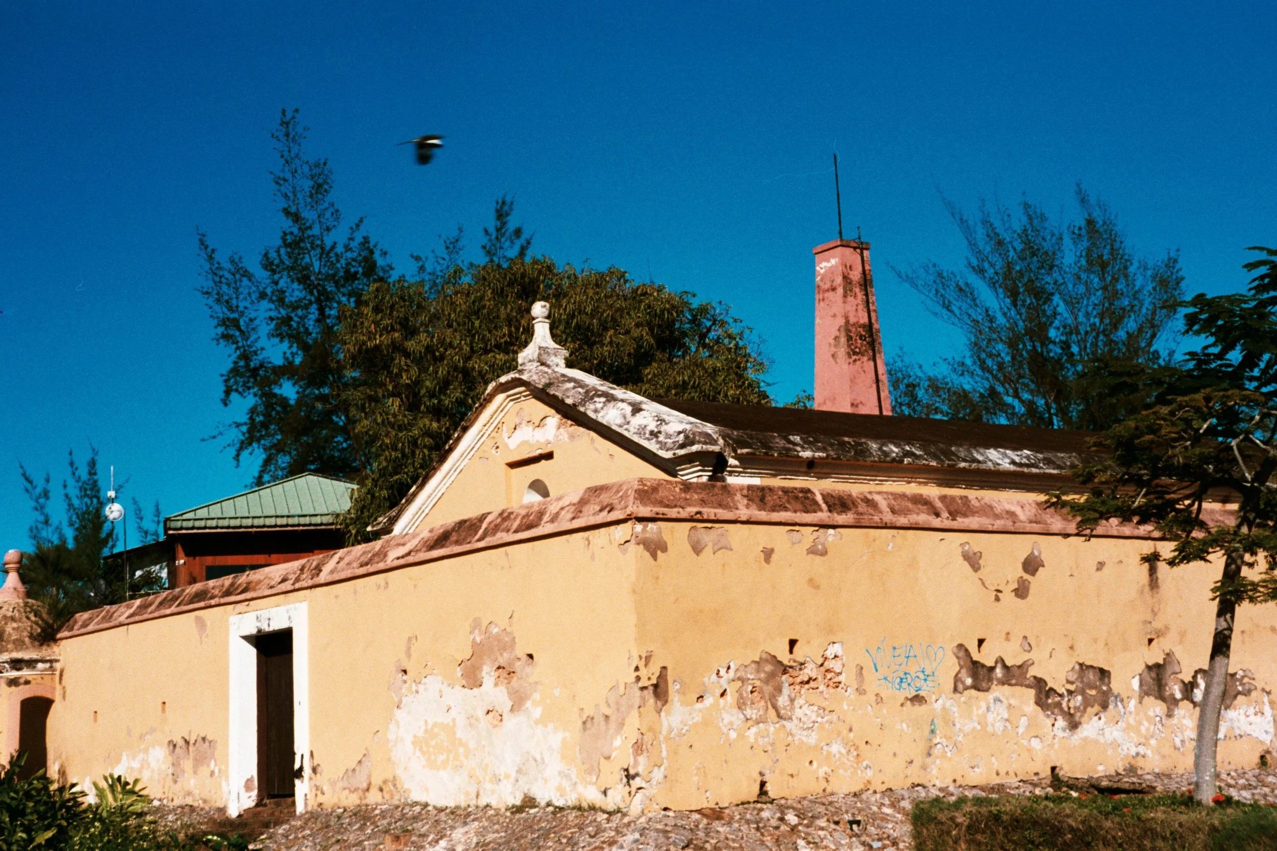 Arnaldo Rosario @arg_o.05