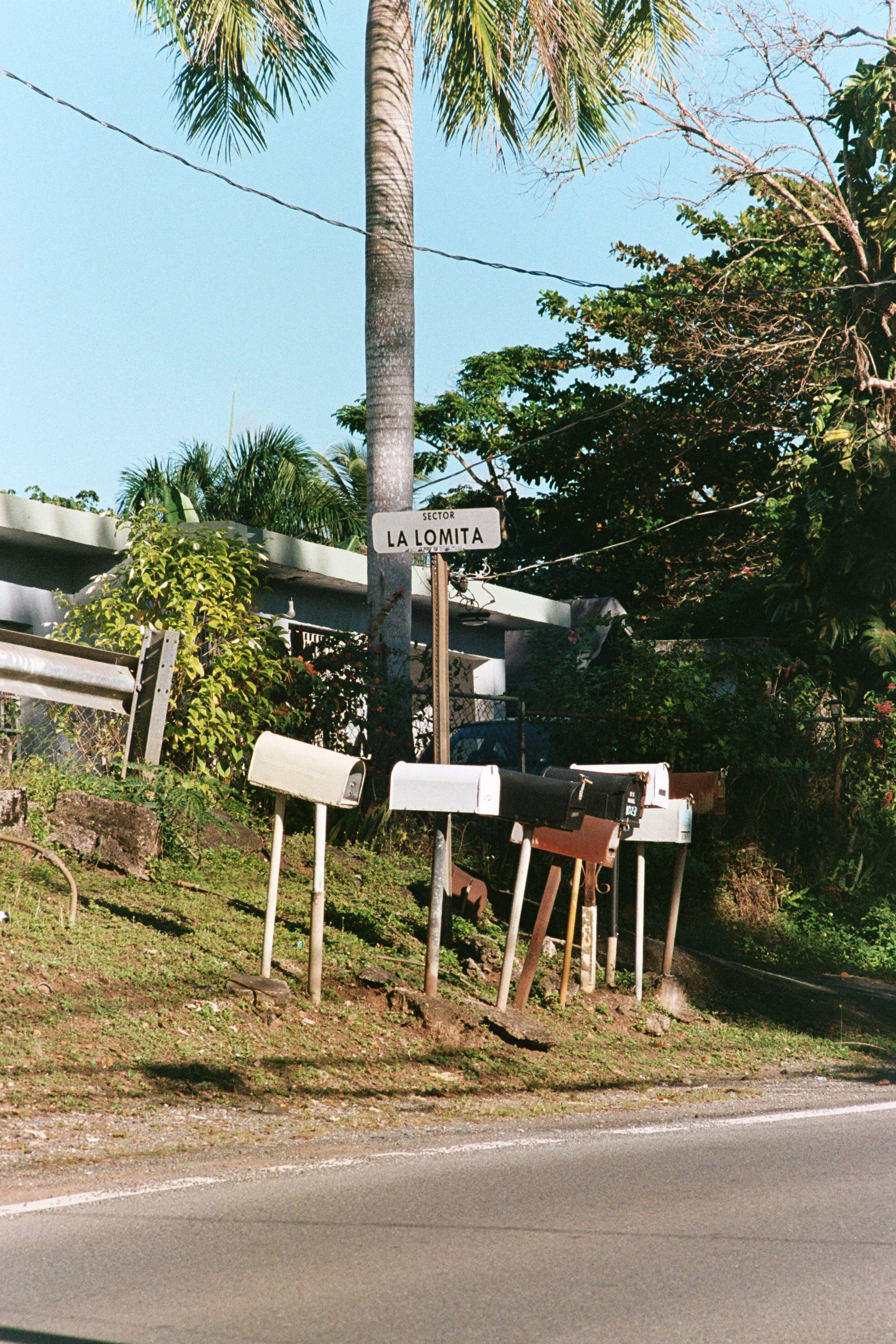 Andres Ramon @alpine___photography