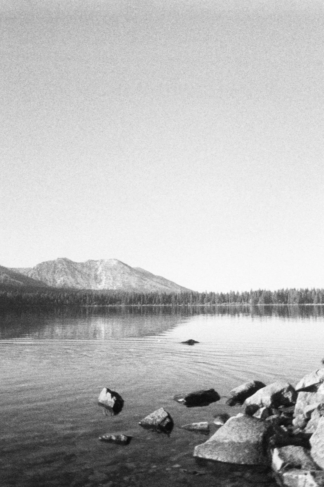 Eduardo Chaparro @pavilioncore