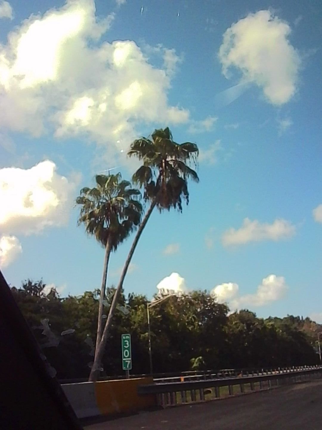 PICT0074.JPG