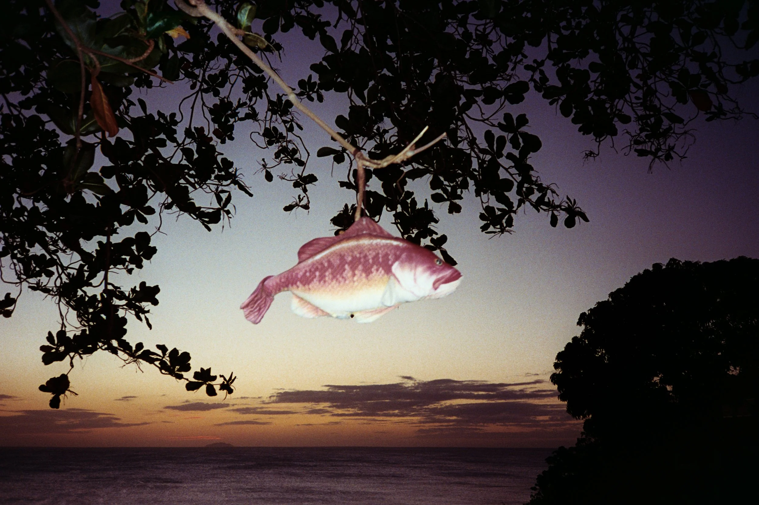 Grace Lucca @grace_lucca