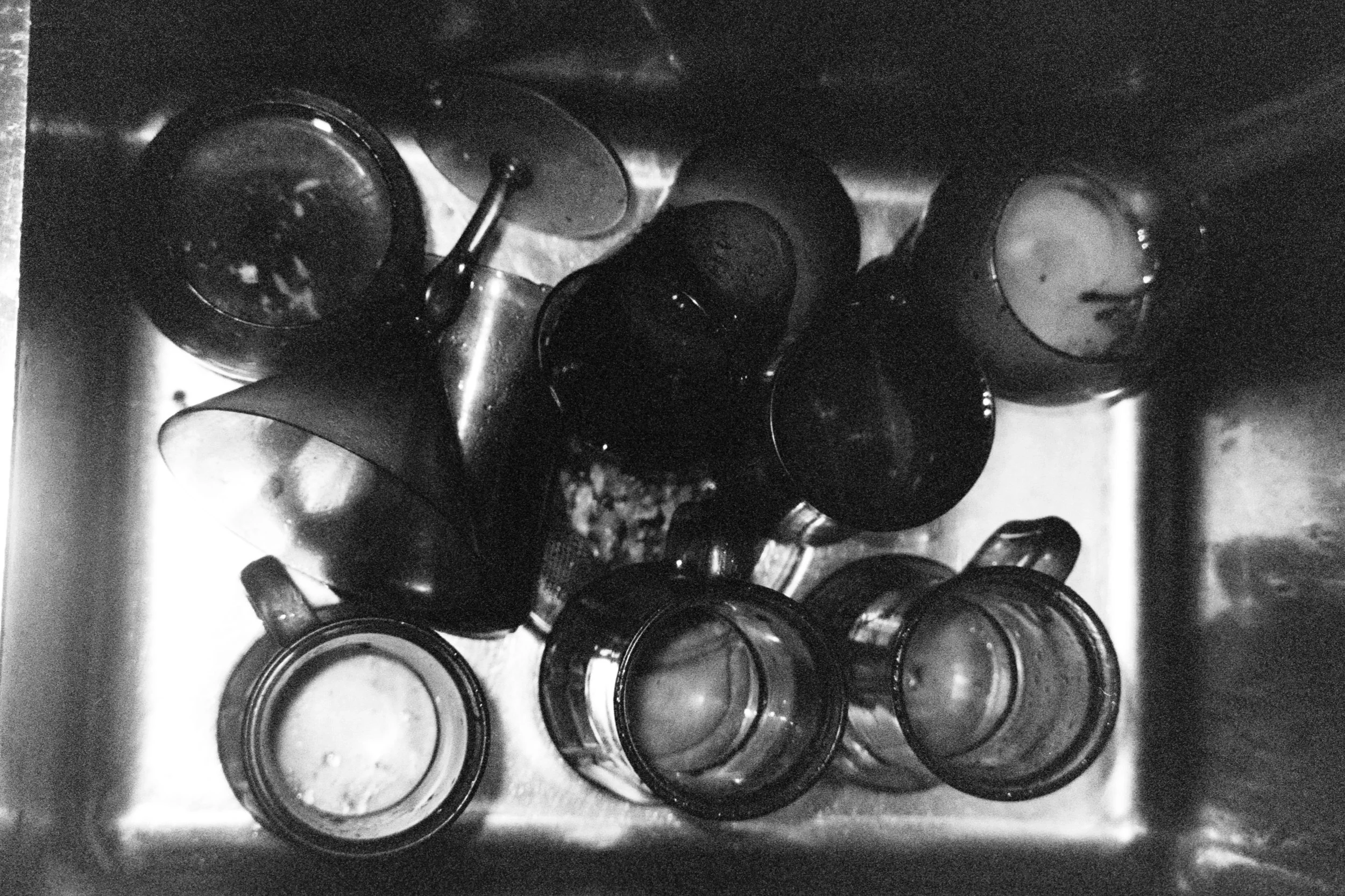 Gabriela Araujo @gabrielaraujov