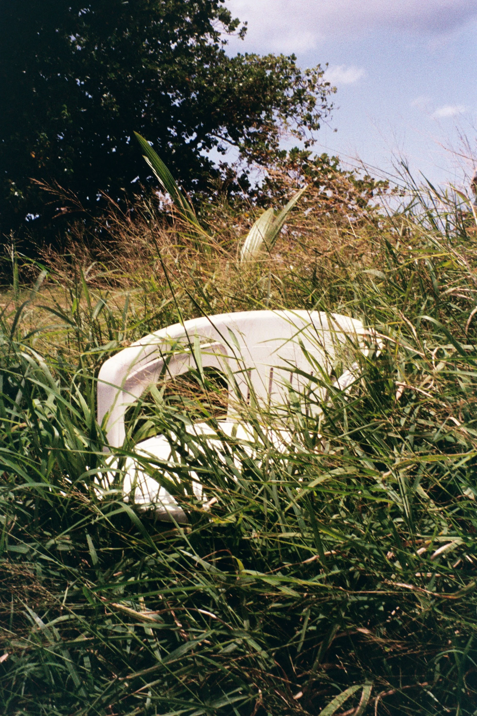 Neli Rivera @lalehfilm 