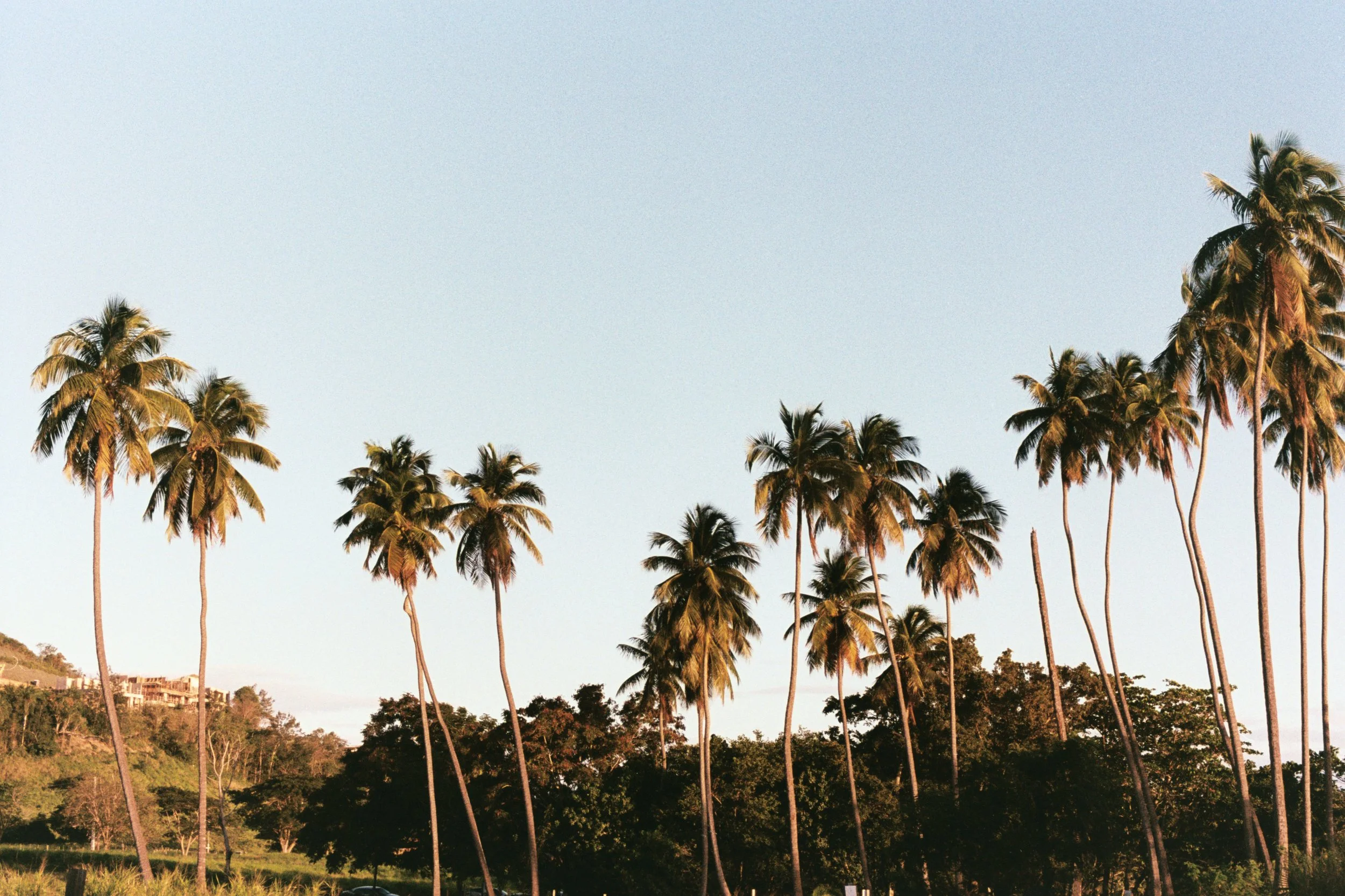 Julian Garcia @notjuliangil