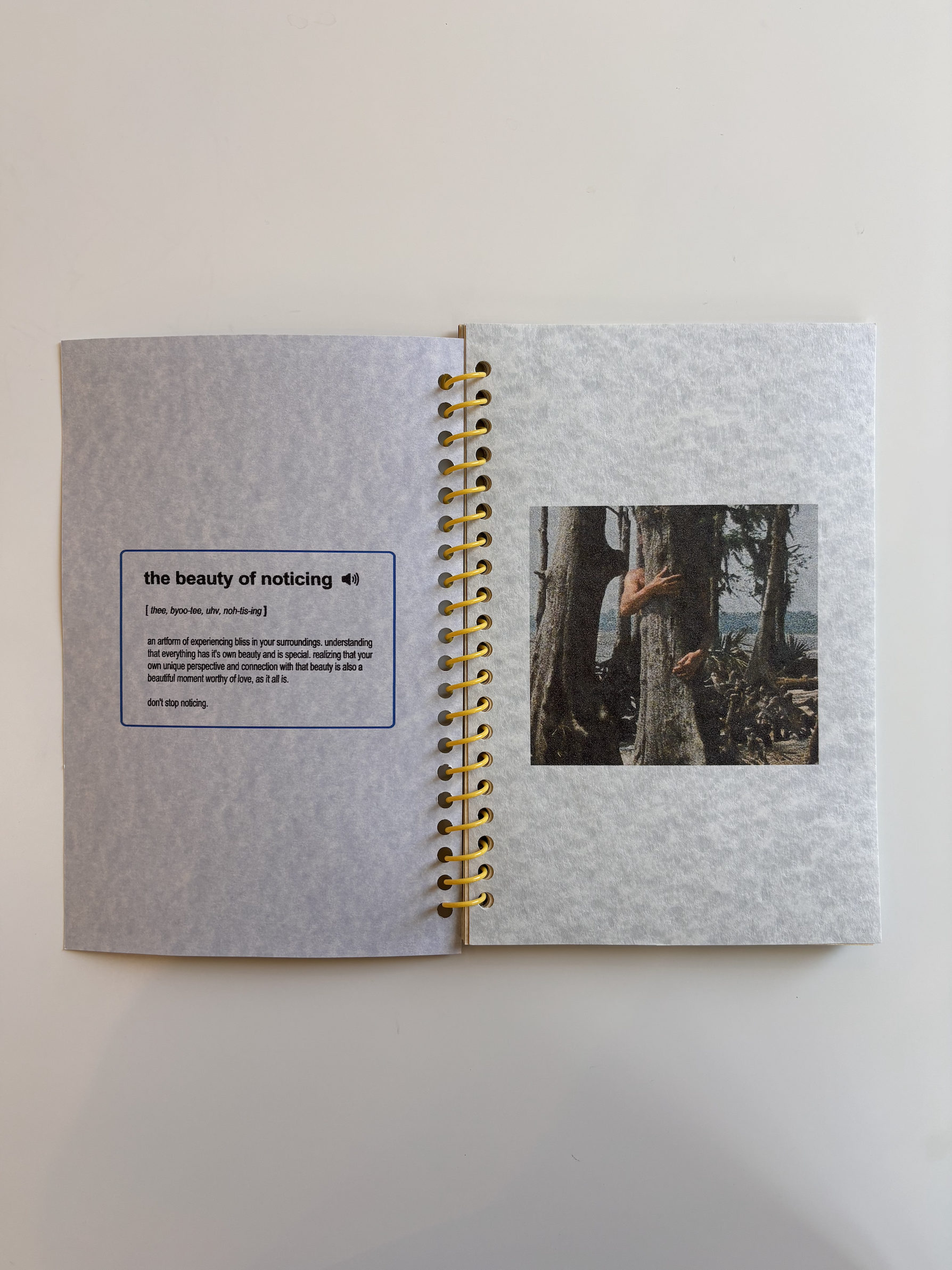 Screen Shot 2026-03-10 at 6.43.45 PM.png