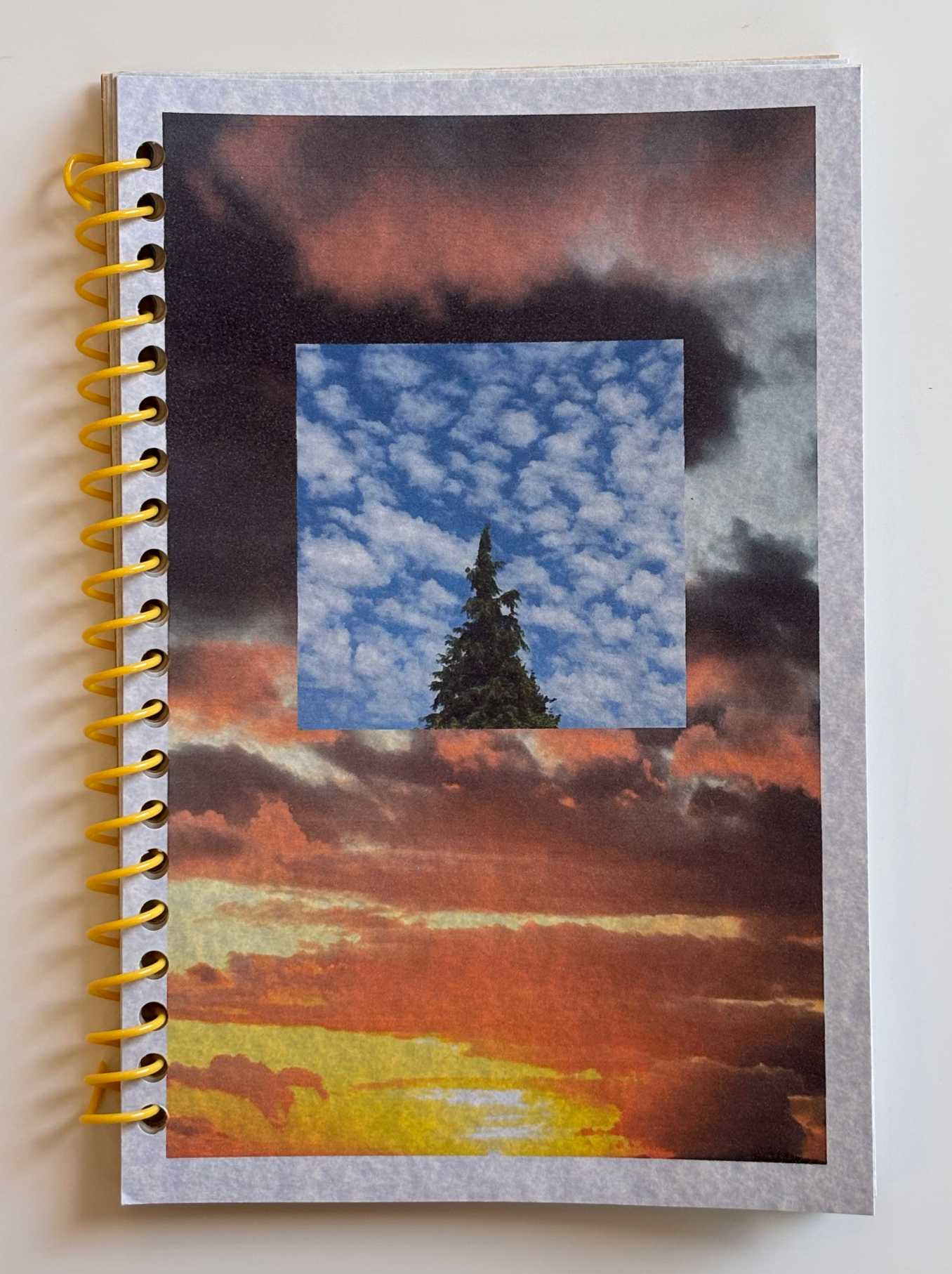 Chris Moody - The Beauty of Noticing