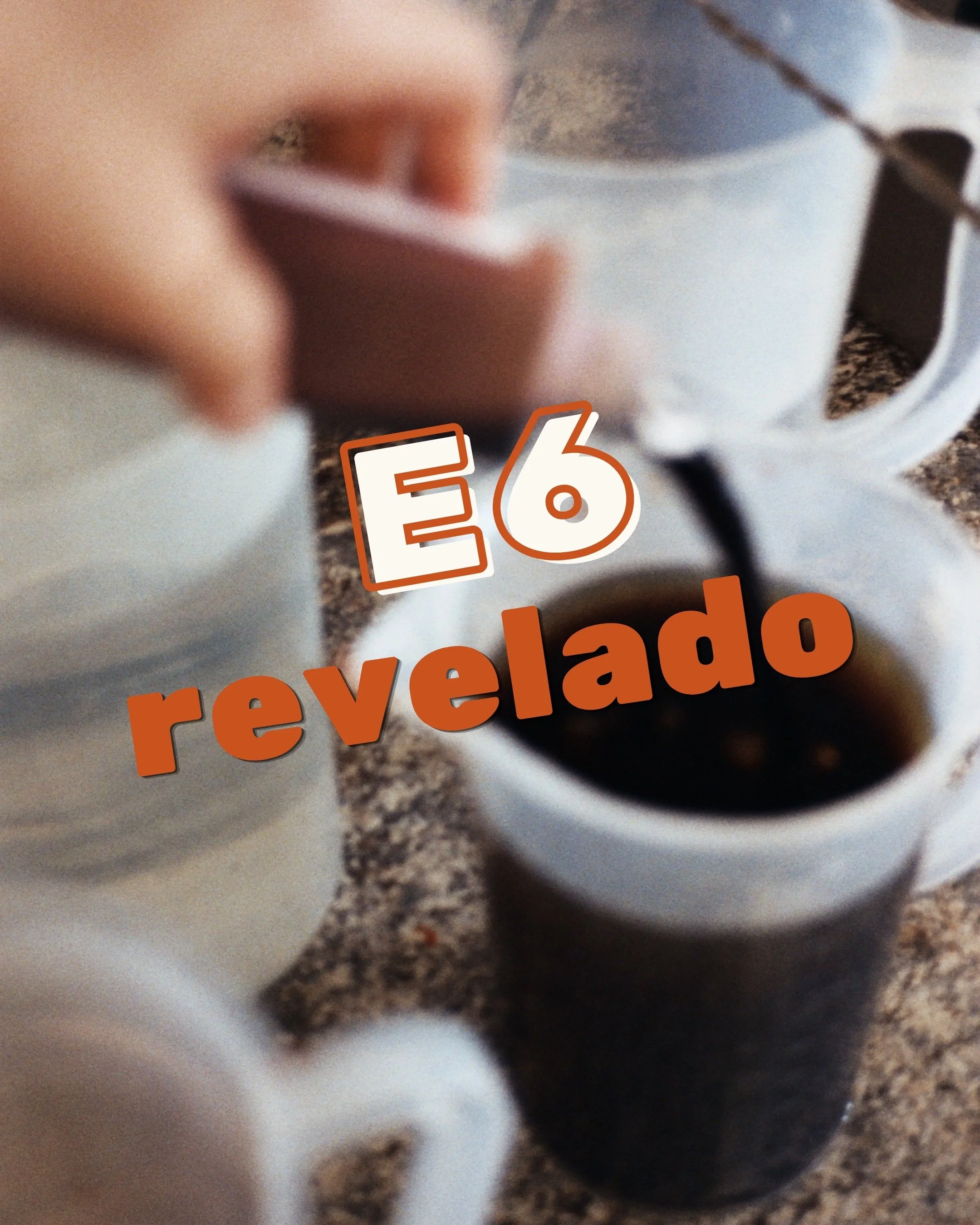 TALLER REVELADO A COLOR E6 DIAPOSITIVA - 8 de Noviembre 2026