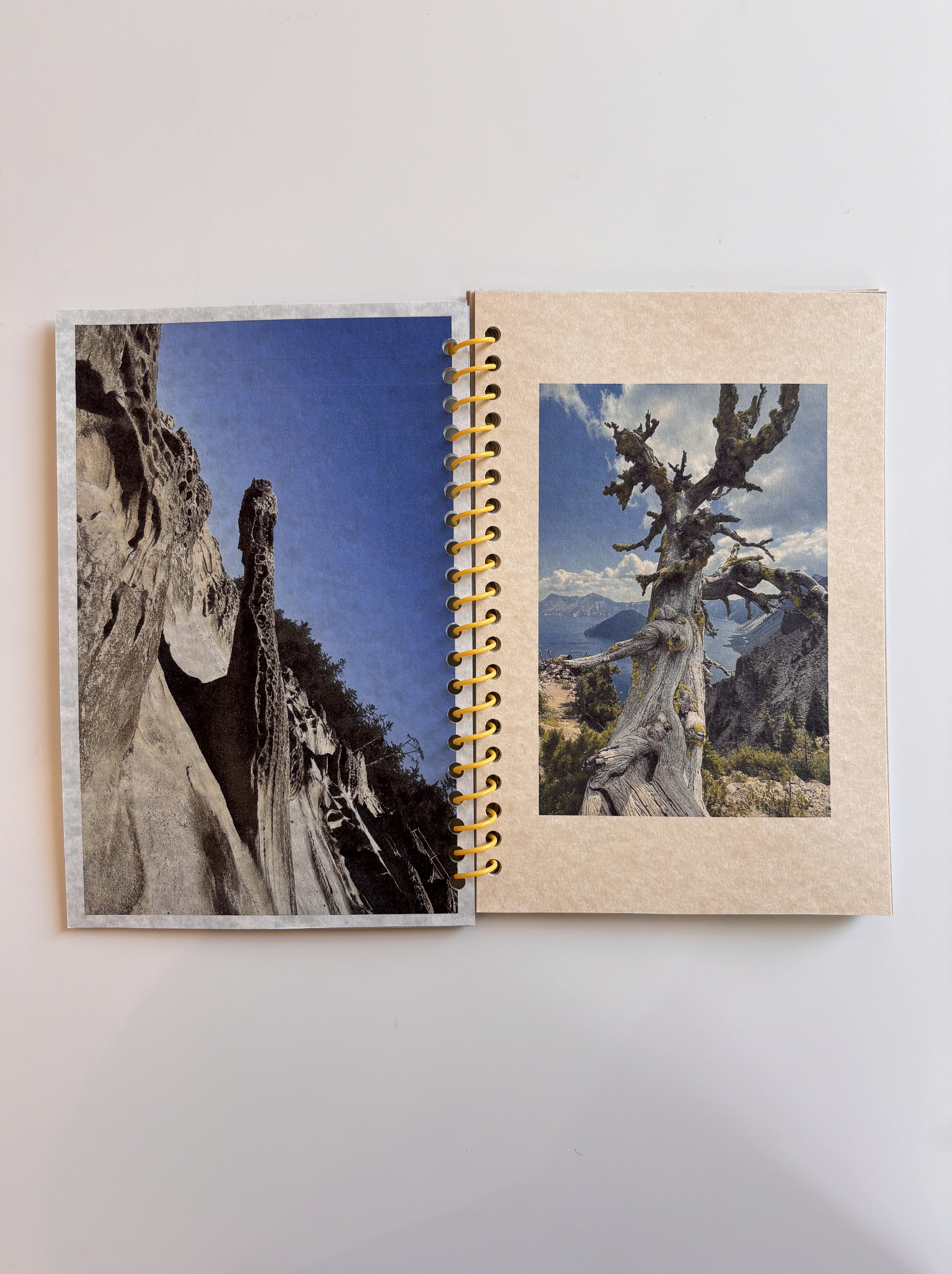 Screen Shot 2026-03-10 at 6.44.01 PM.png