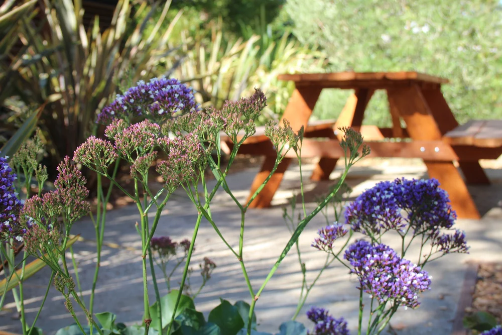 Manzanita Apartments