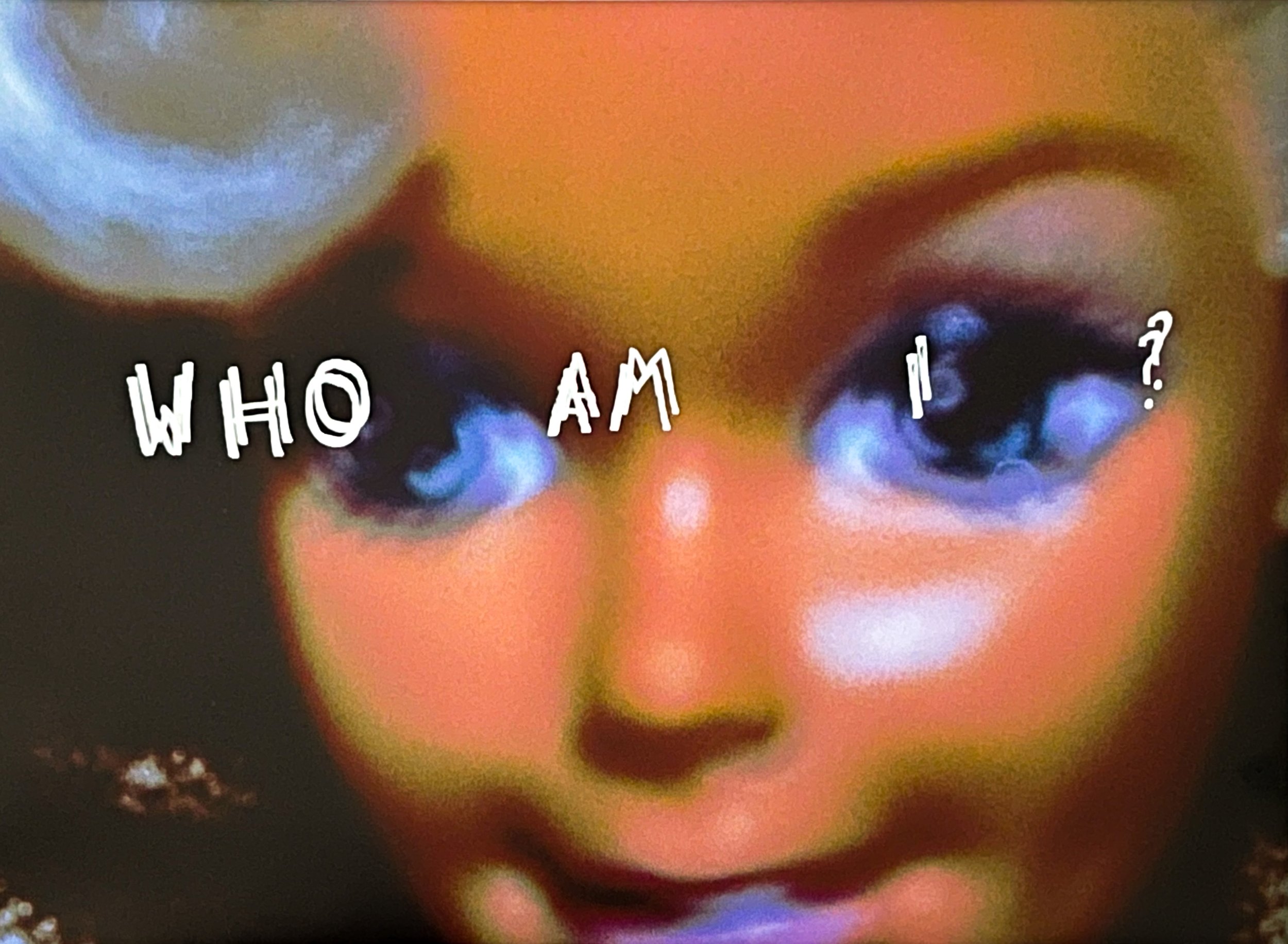 "WHO AM I?", silkscreen text on inkjet photograph, 13"x19", 2022