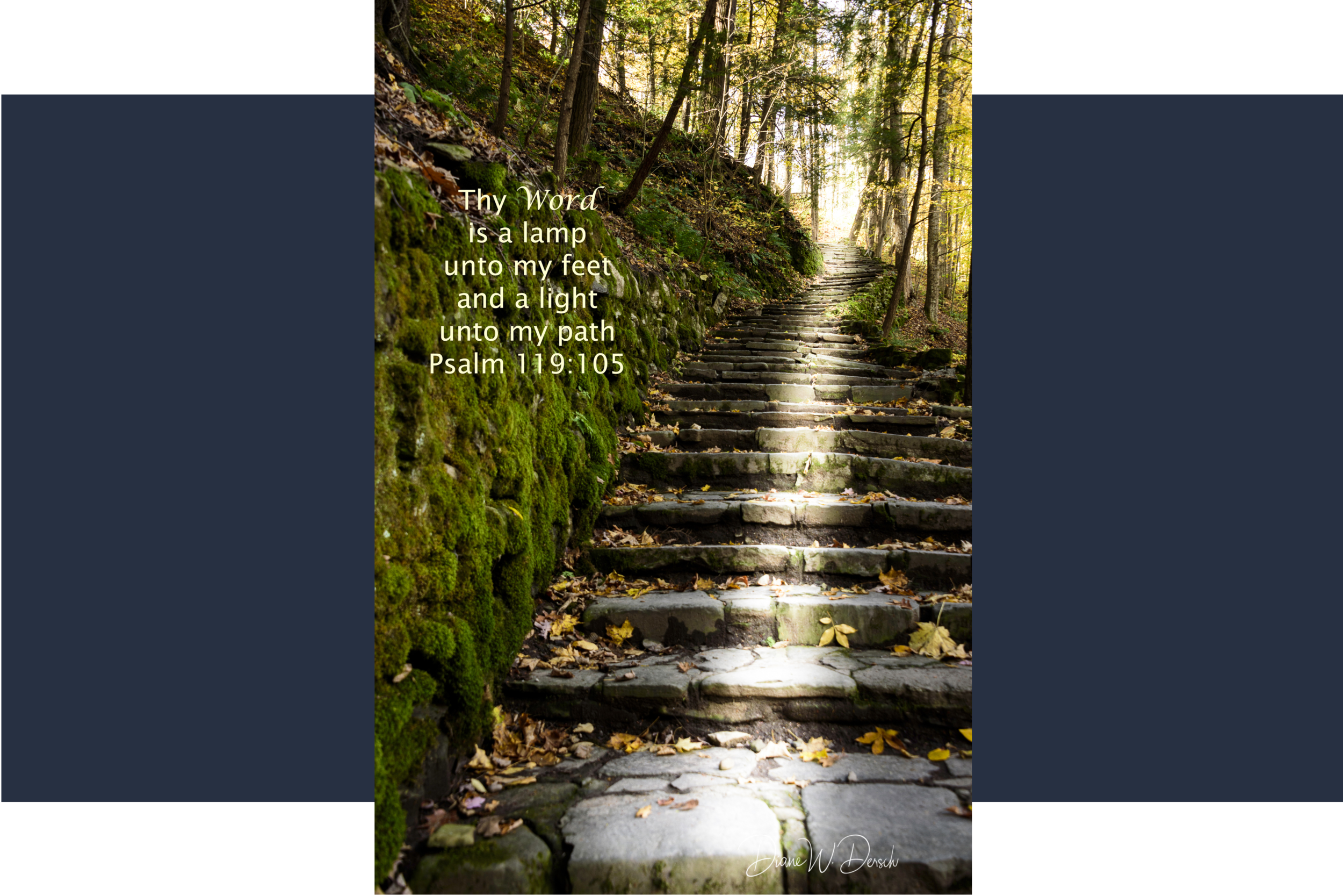 Diane-W-Dersch-Photography-Scripture-Filmore-Glen-State-Park-Stairs-Light.png