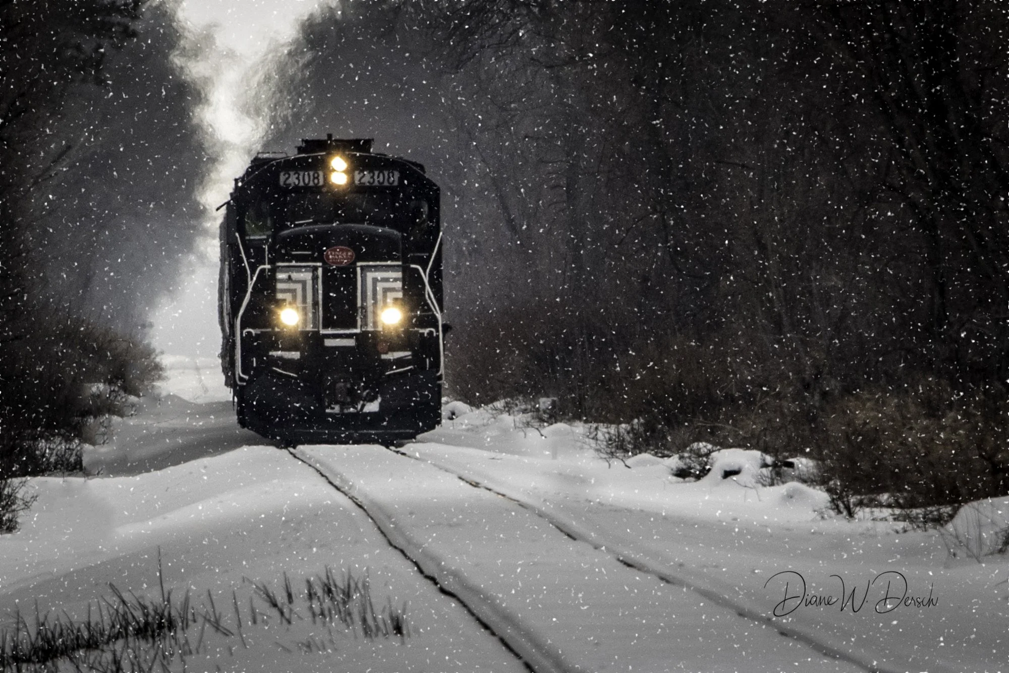 Train with snow #3.jpg
