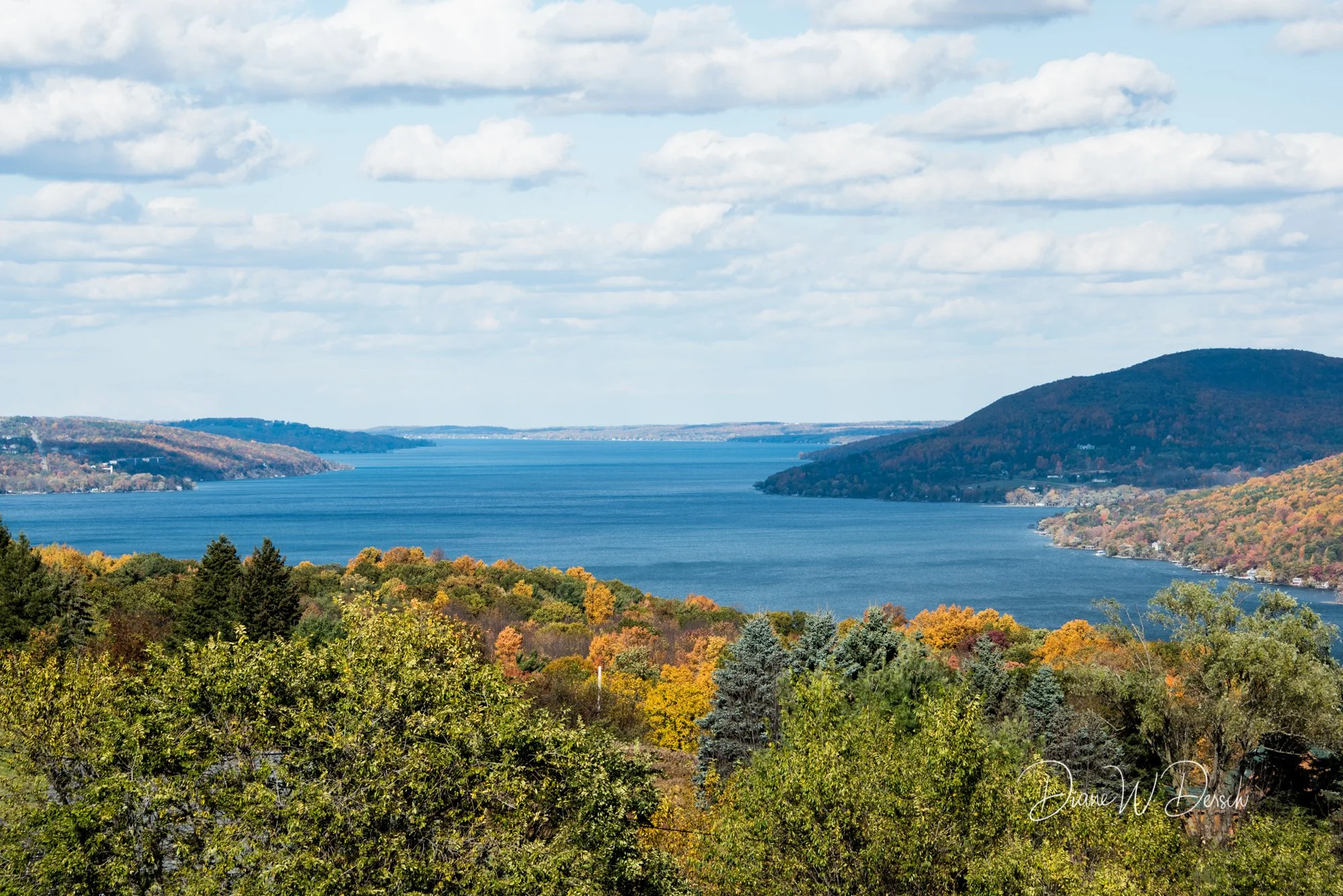 DSC_0047.jpg
