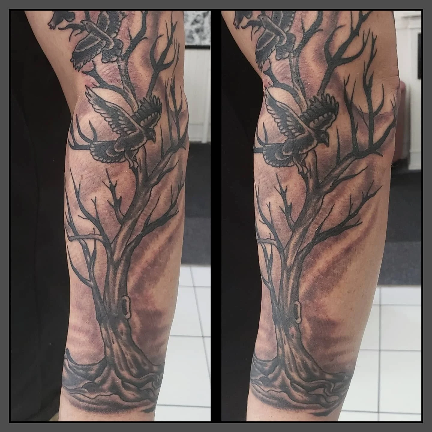 Tree and ravens. #treetattoo #raventattoo #blackandgreytattoo #homewardboundtattoo