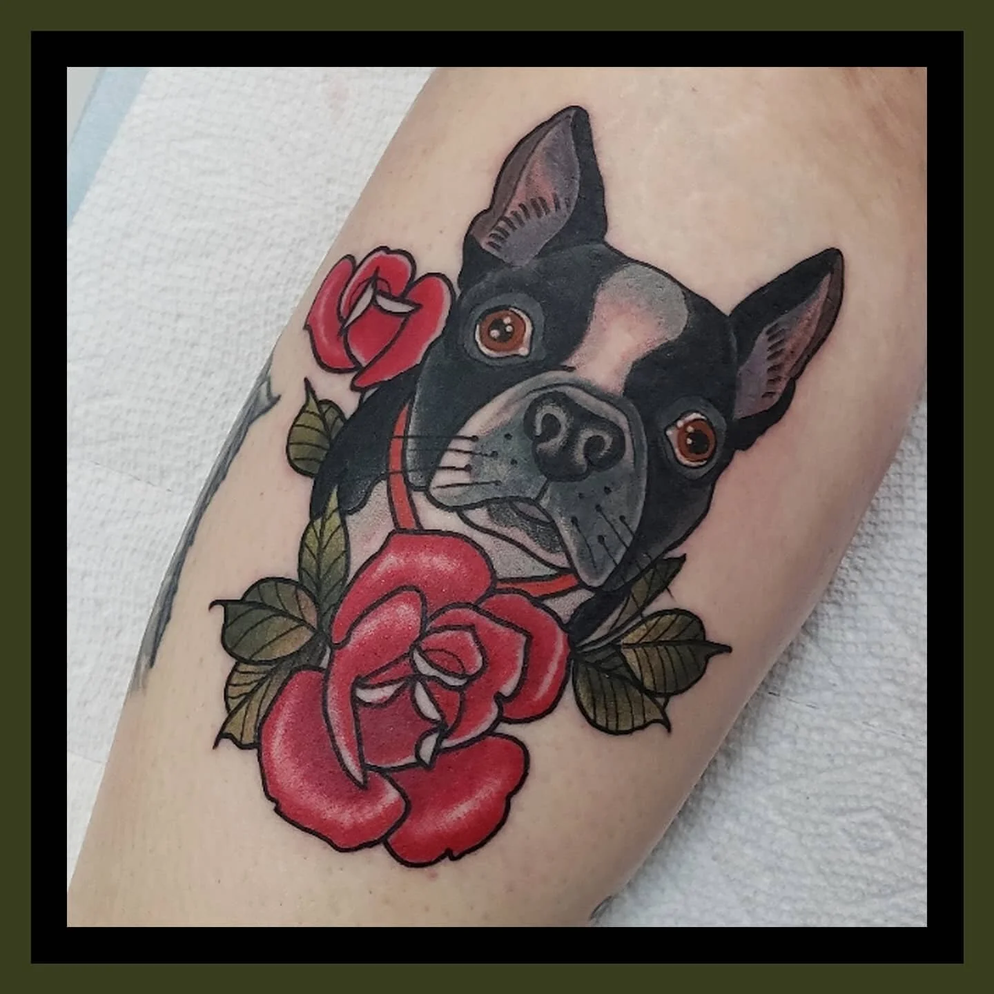 #dogtattoo #bostonterriertattoo #traditionaltattoo #rosetattoo #homewardboundtattoo #tattoospaceco #industryink