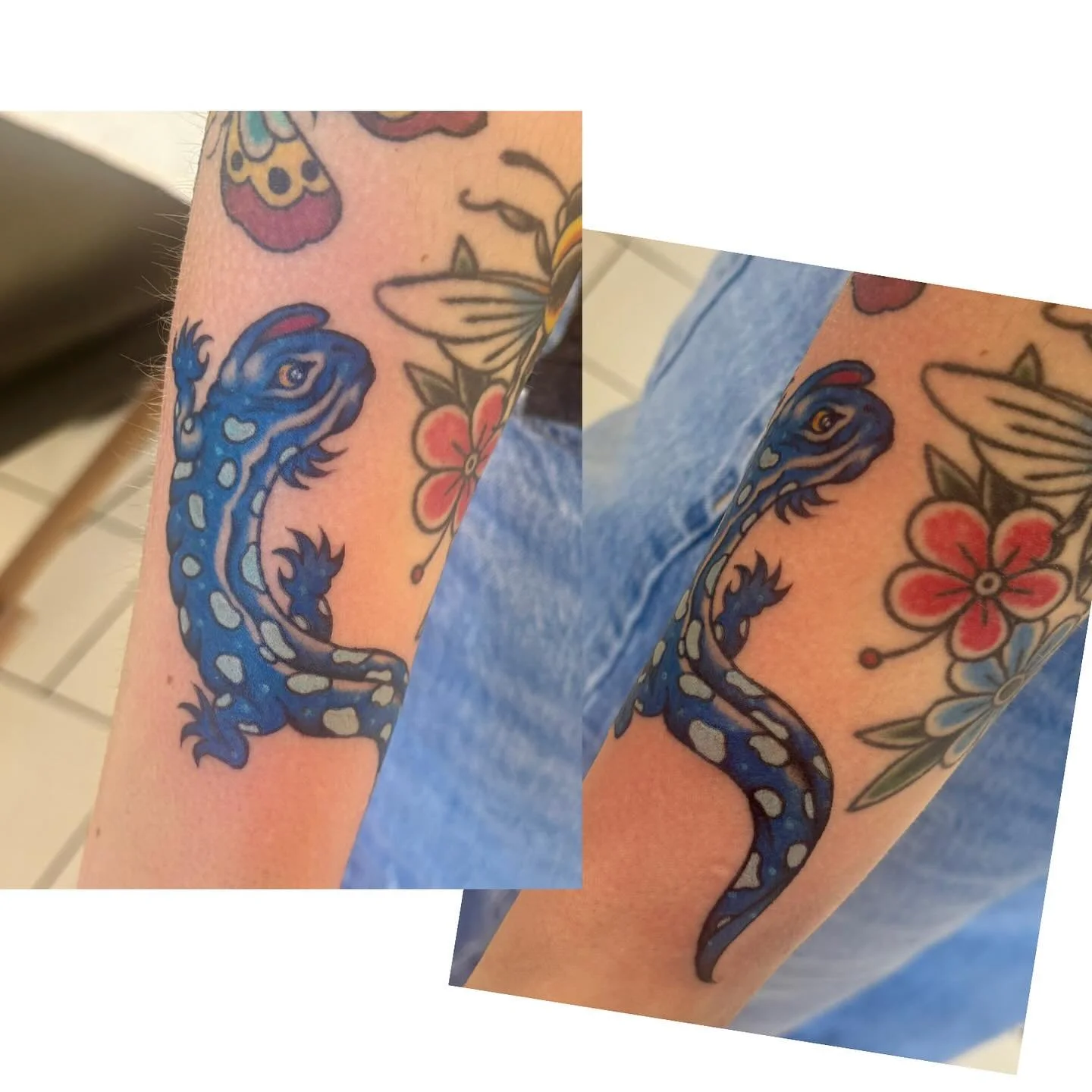 The happiest little salamander 🦎