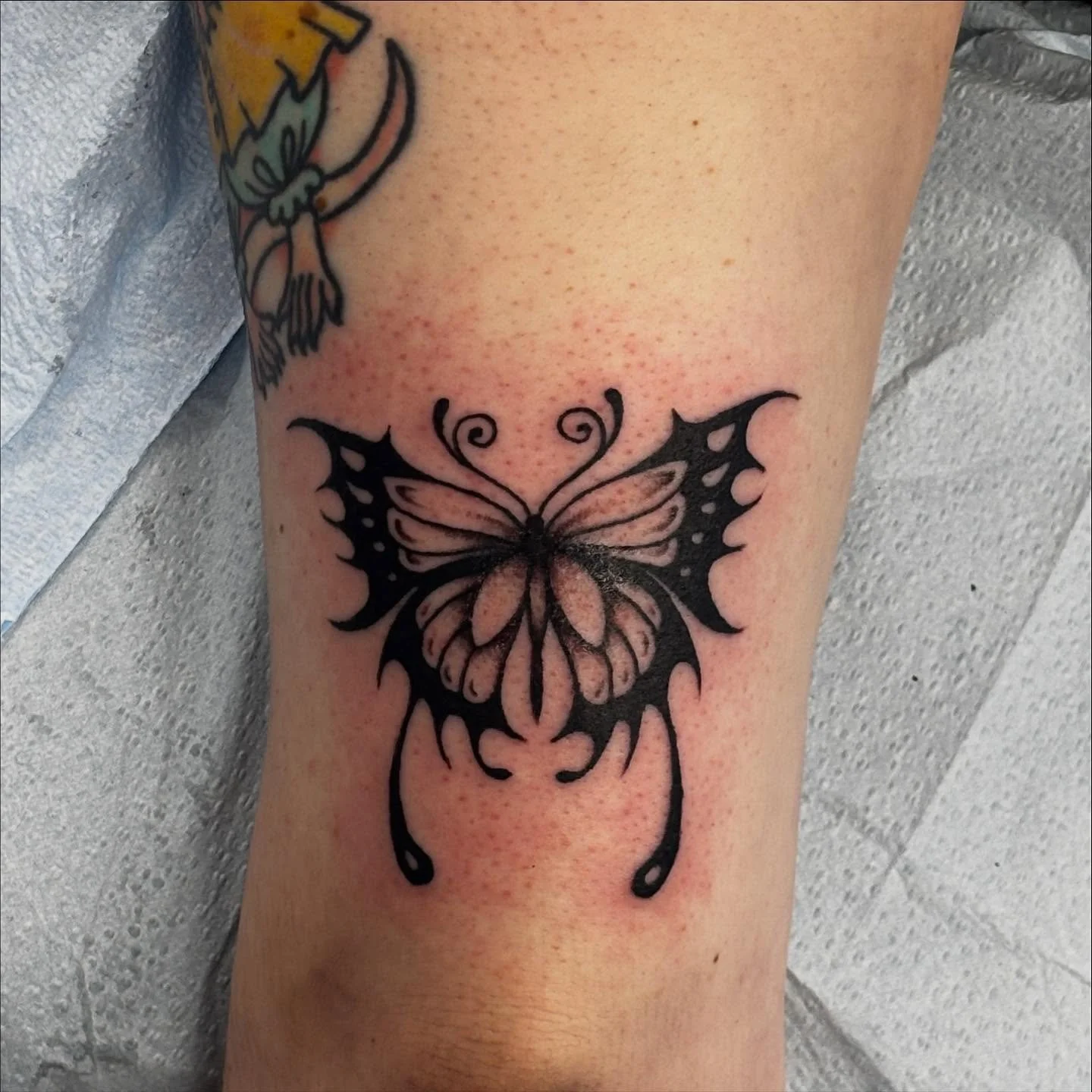 some recents, some in progress :)