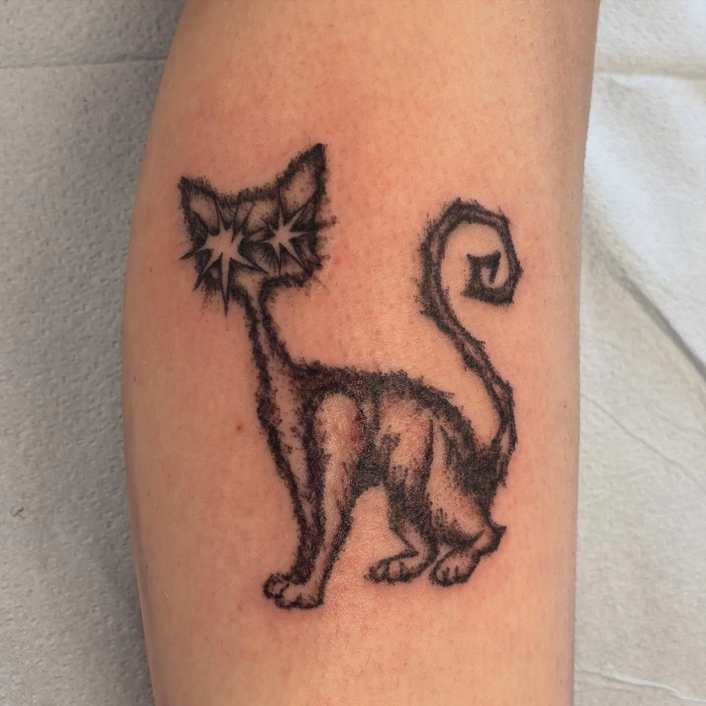 just a skrungly little guy🖤