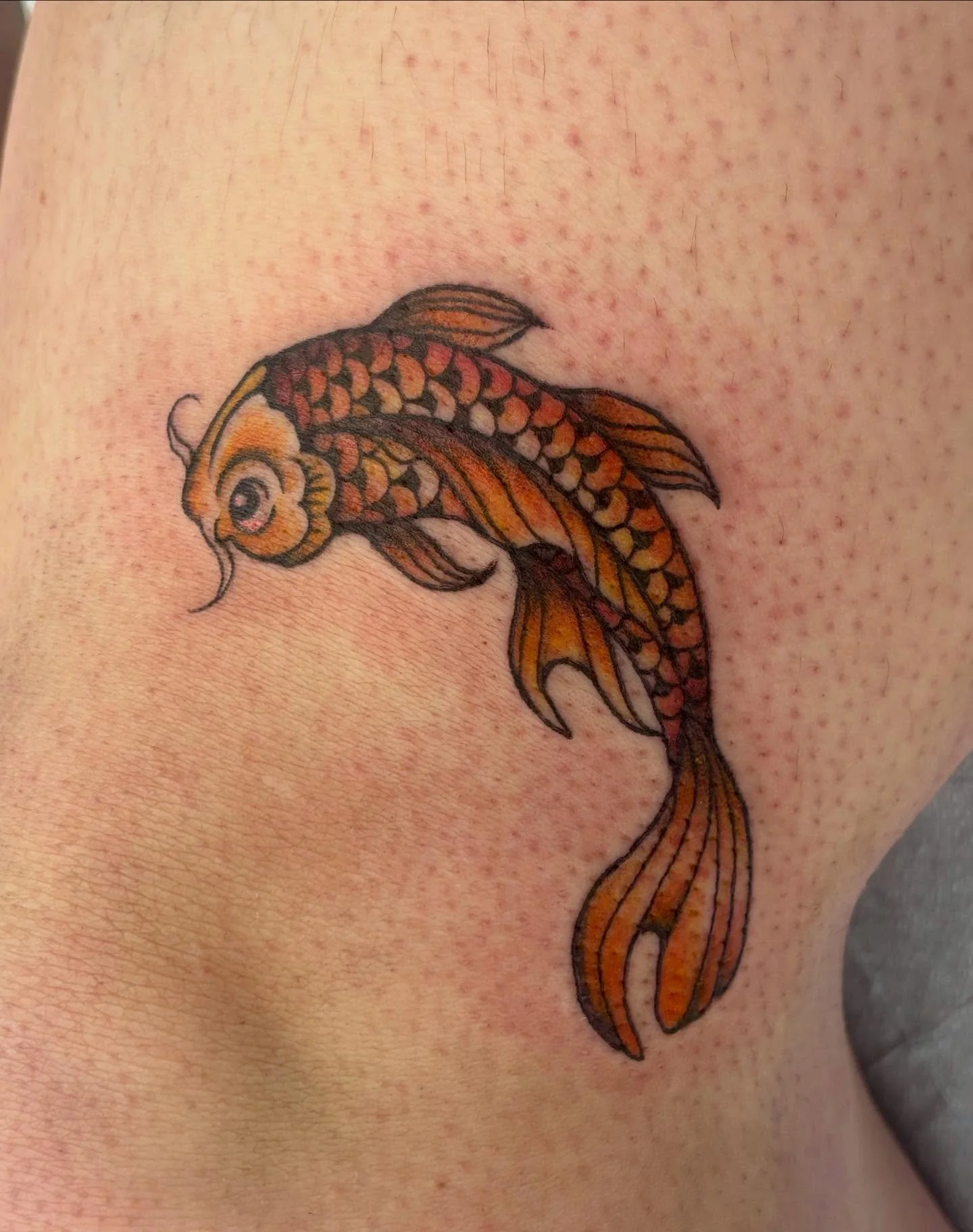 The cutest little koi🥹