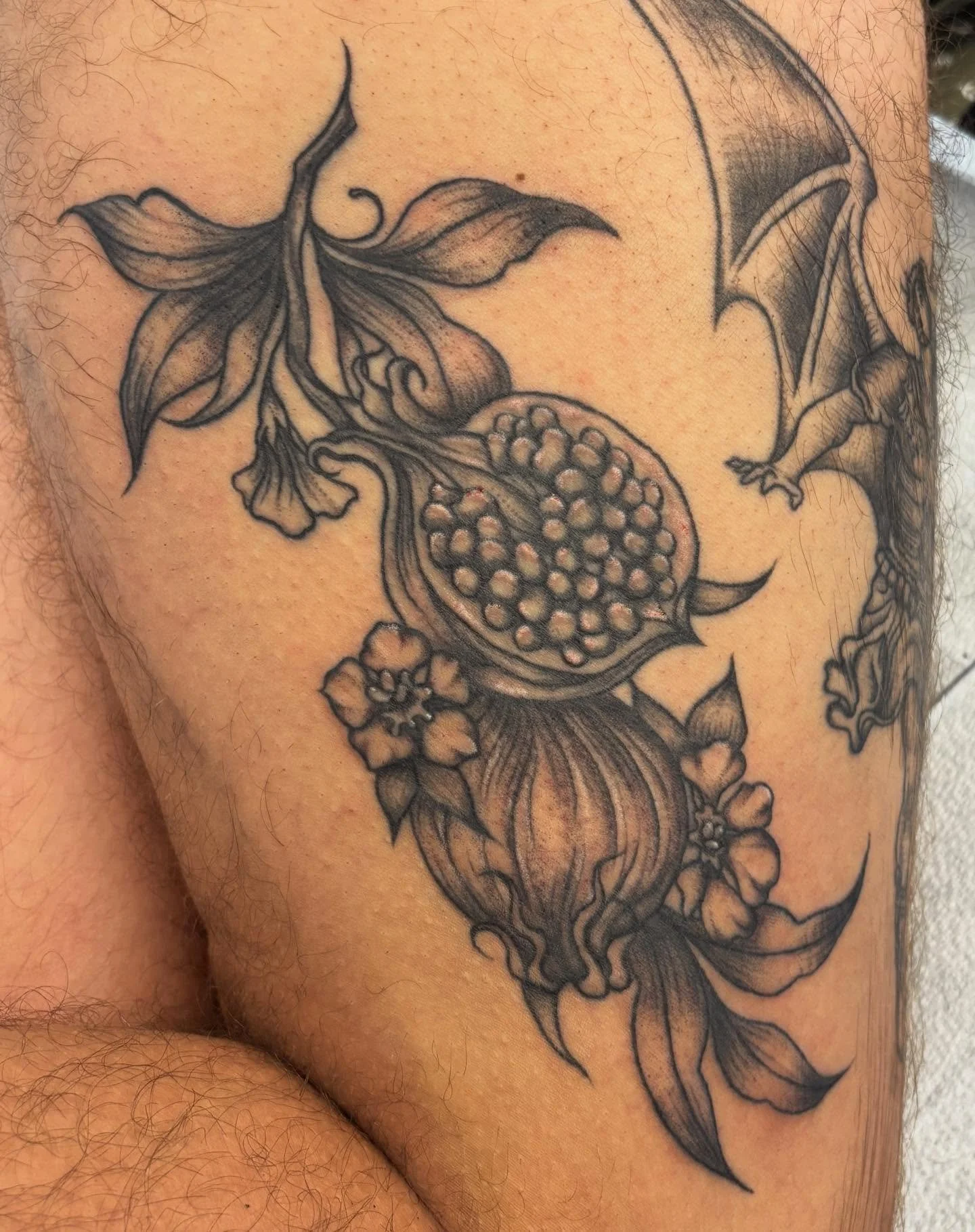 pomegranates❤️ half healed half new. why is there no pomegranate emoji!

#witattooartist #femaletattooartist #wisconsintattooartist