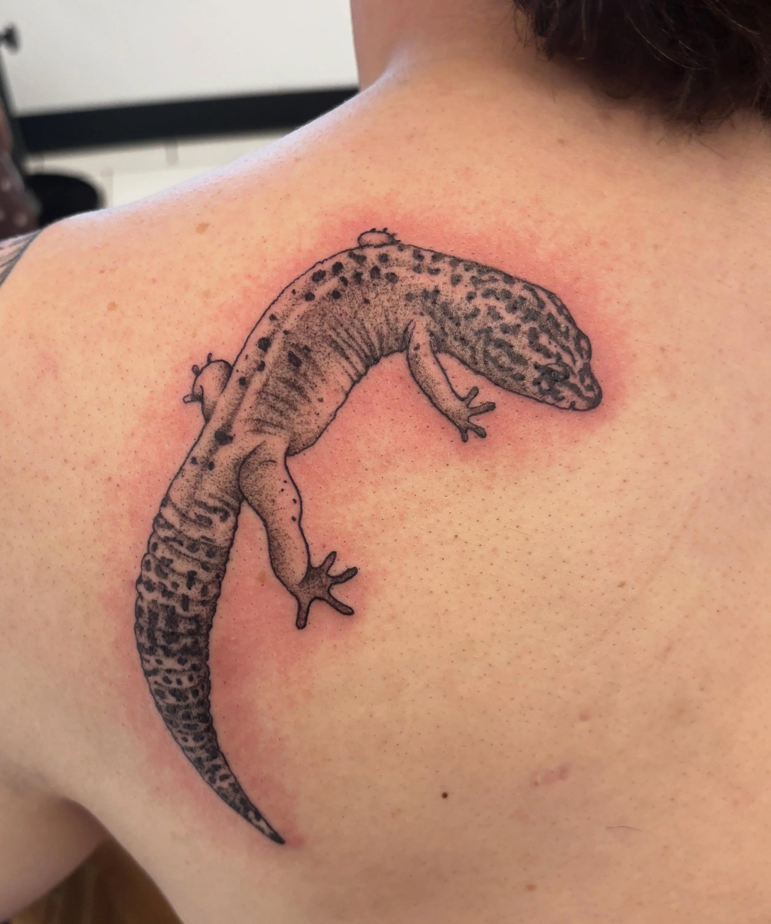 What an honor to tattoo sweet little Mo🥹

#leopardgecko #blackandgreytattoo #pettattoo #petportrait