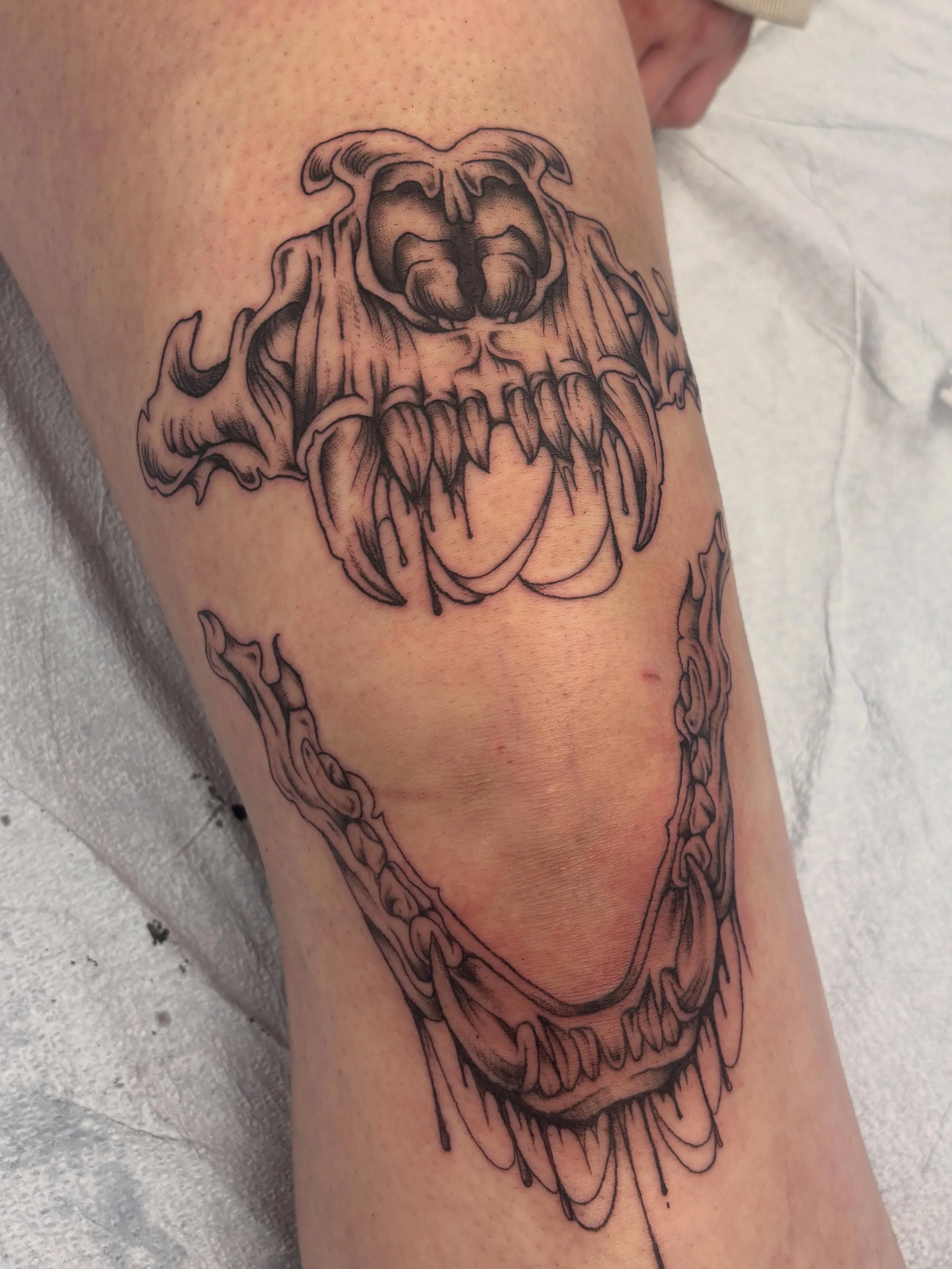No bark, all bite 🦴 this was right up my alley and so fun!!

#blackandgreytattoo #bngtattoo #kneetattoo #witattooartist #witattooers
