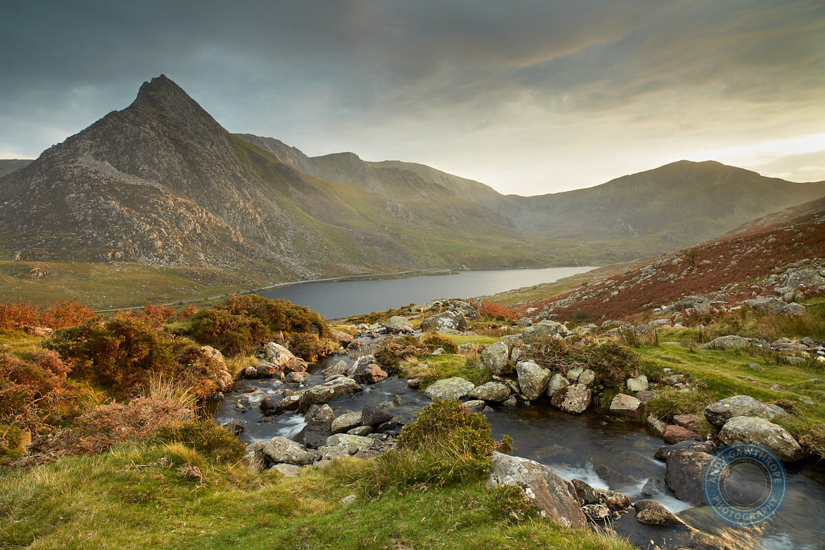 Tryfan Evening