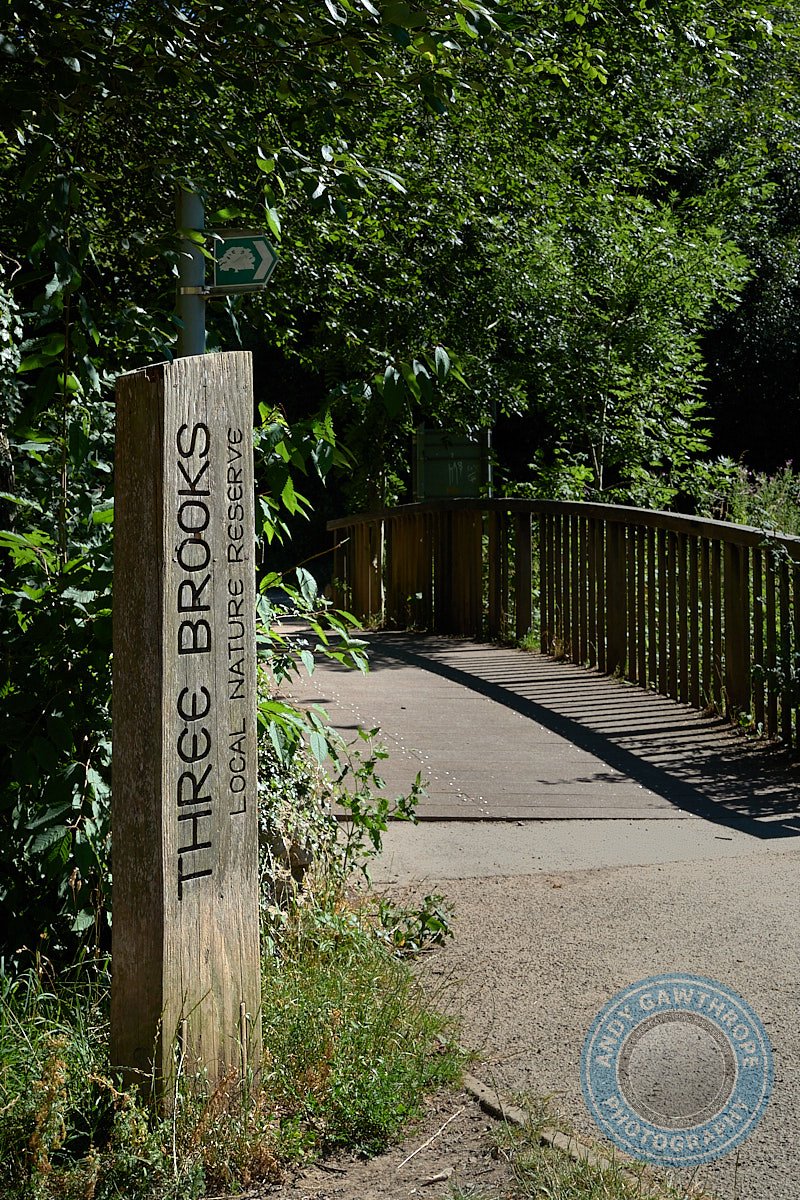 The Three Brooks Nature Reserve