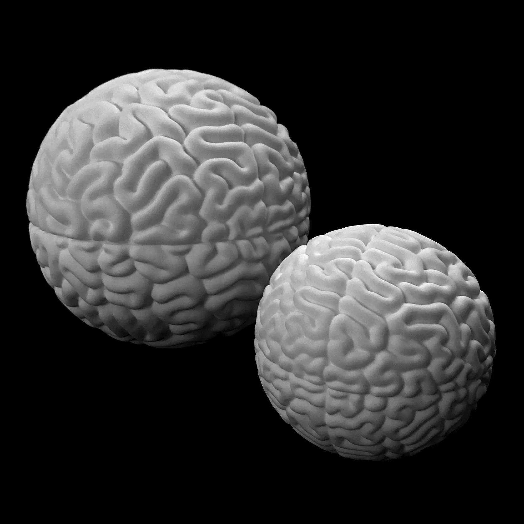 Brain-Balls-5.jpeg