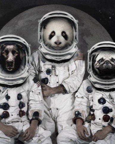 capricorn-3-astronaut-animal-group-canvas+-+society6+-+vin+Zzep.jpg